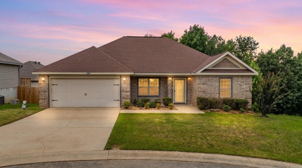 3981 PALOMINO CV, ALEXANDER, AR 72002 - Image d17fa0140c43d5dcd3a42f55842c75b4/967199160