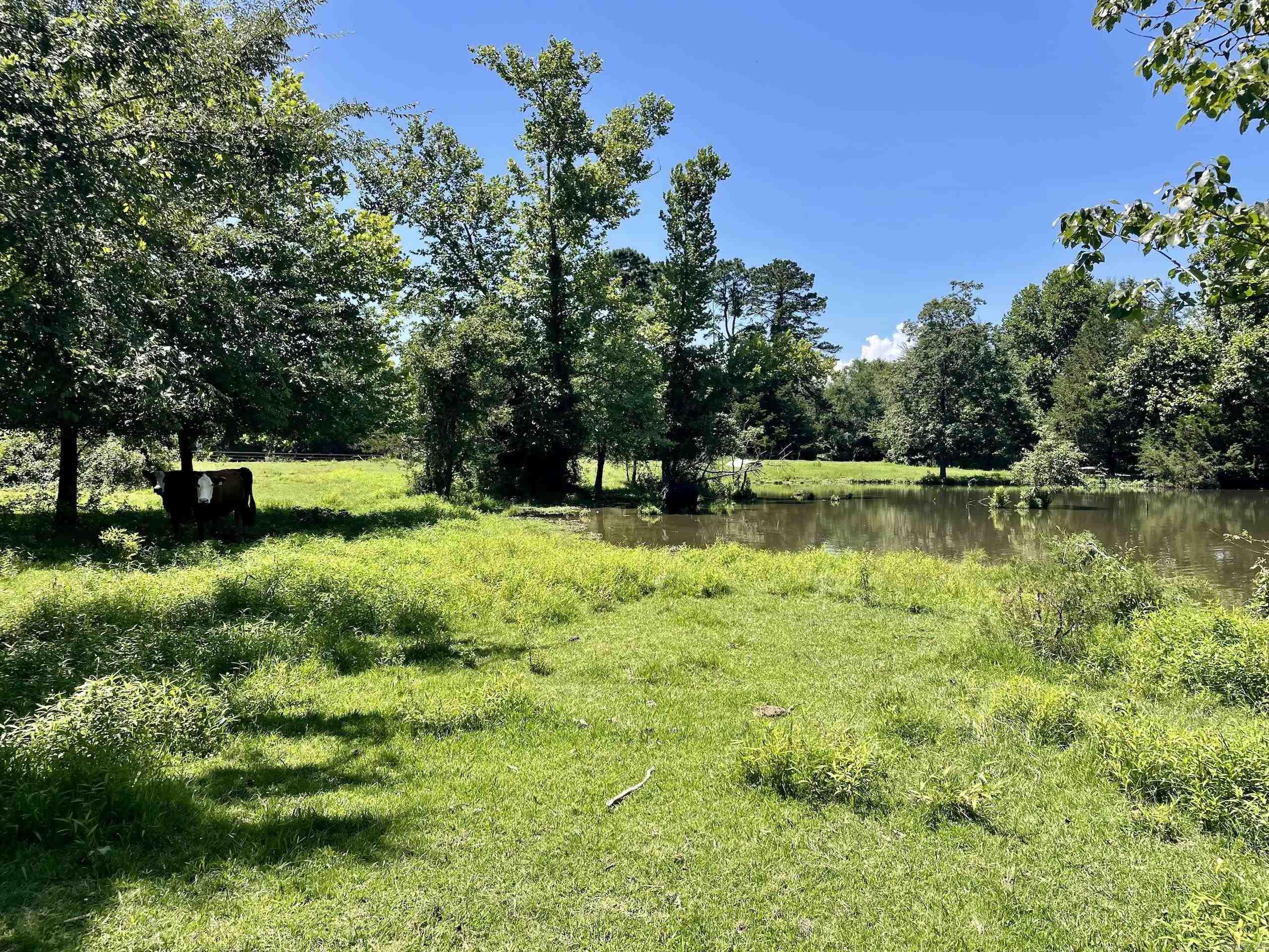 Not in Subdivision - Land