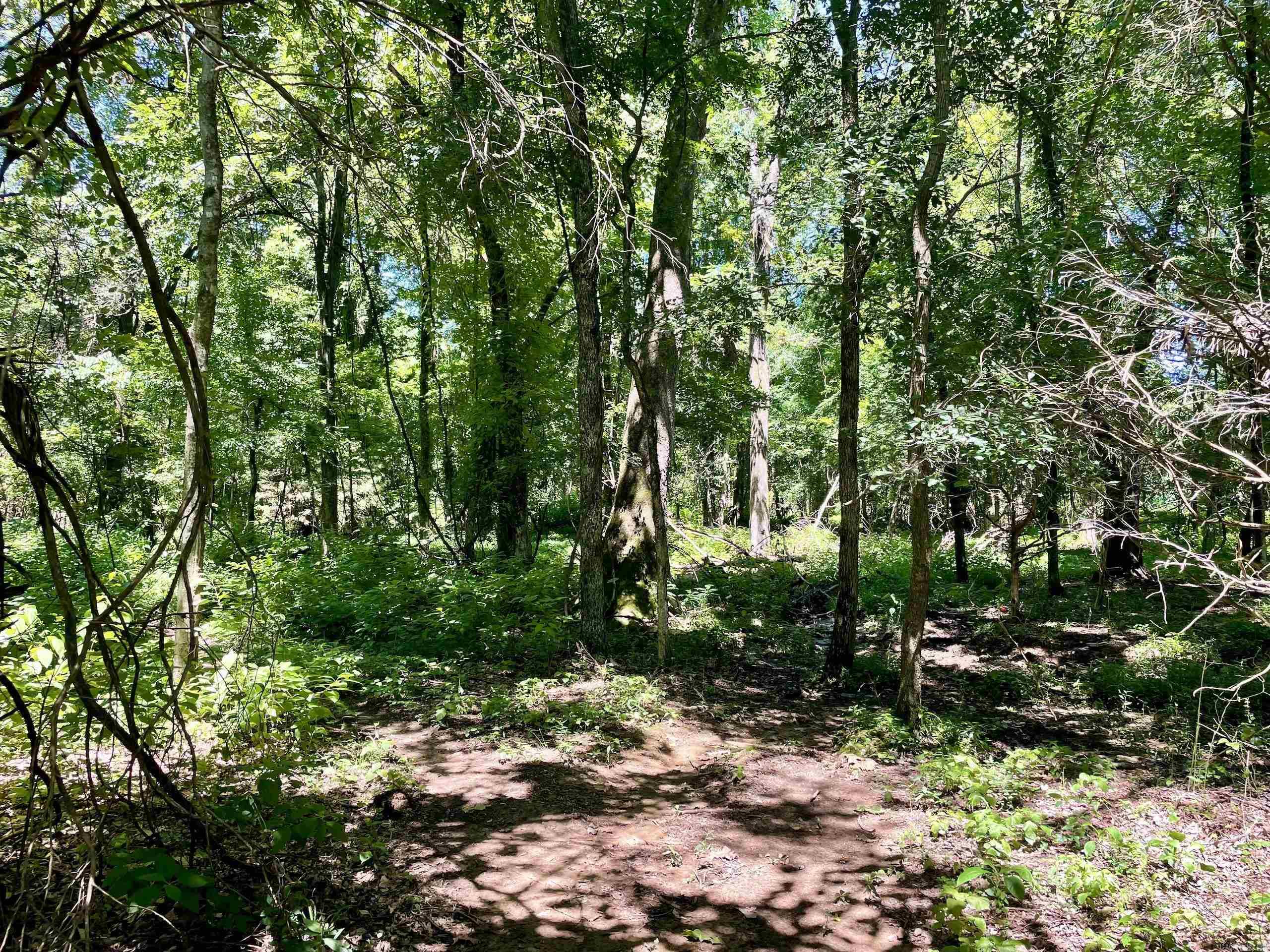 Not in Subdivision - Land