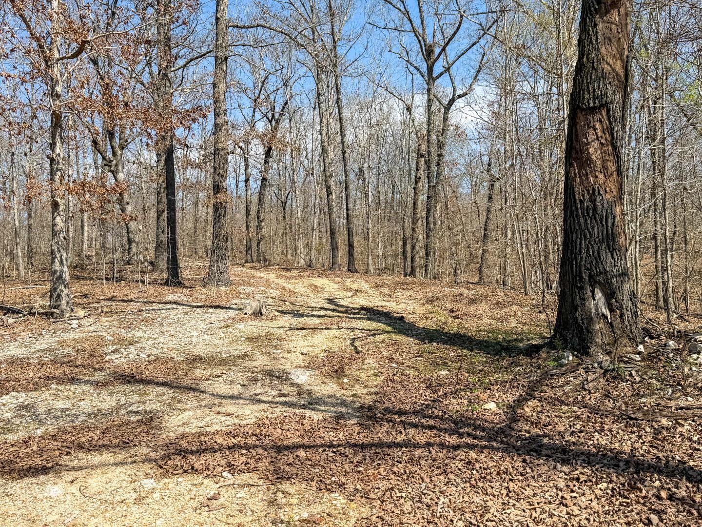 MOODY RIVERVIEW EST - Residential