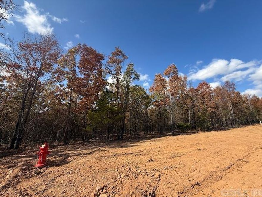 Wooded lot perfect for building your home or building a home to sale.  You could leave trees at the back of the lot for privacy.  All utilities are on the property. 1200 sq. ft. minimum