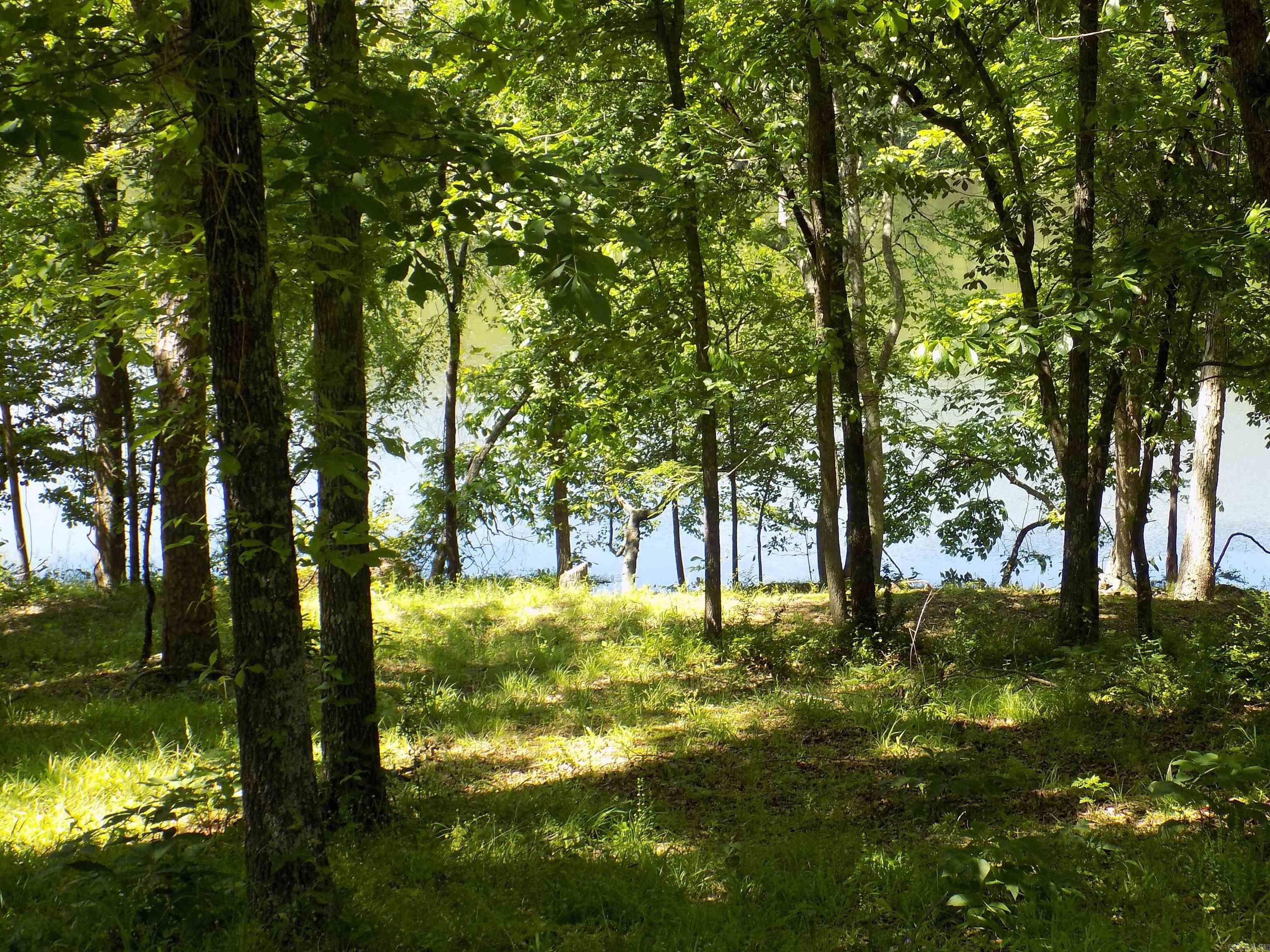 WATERFRONT ON LAKE BEAVERFORK: City water on the property. paved road and a fire hydrant in the front yard. 2800 sq ft min with 2000 on first floor.