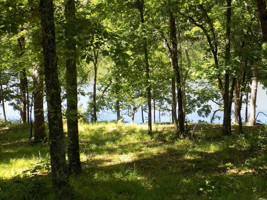 WATERFRONT ON LAKE BEAVERFORK:    City water on the property.  paved road and a fire hydrant in the front yard.  2800 sq ft min with 2000 on first floor.