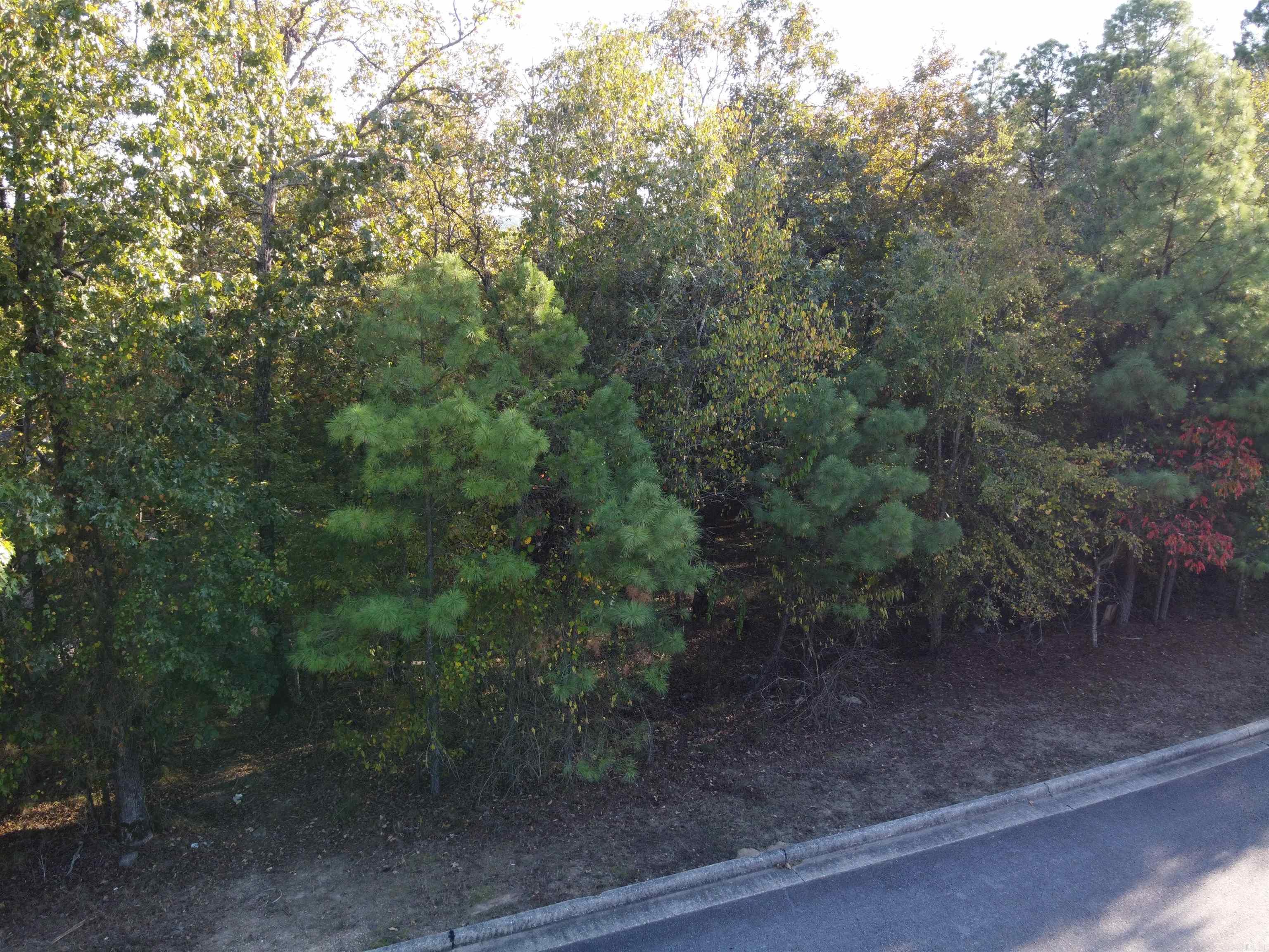 Red Oak Ridge - Land