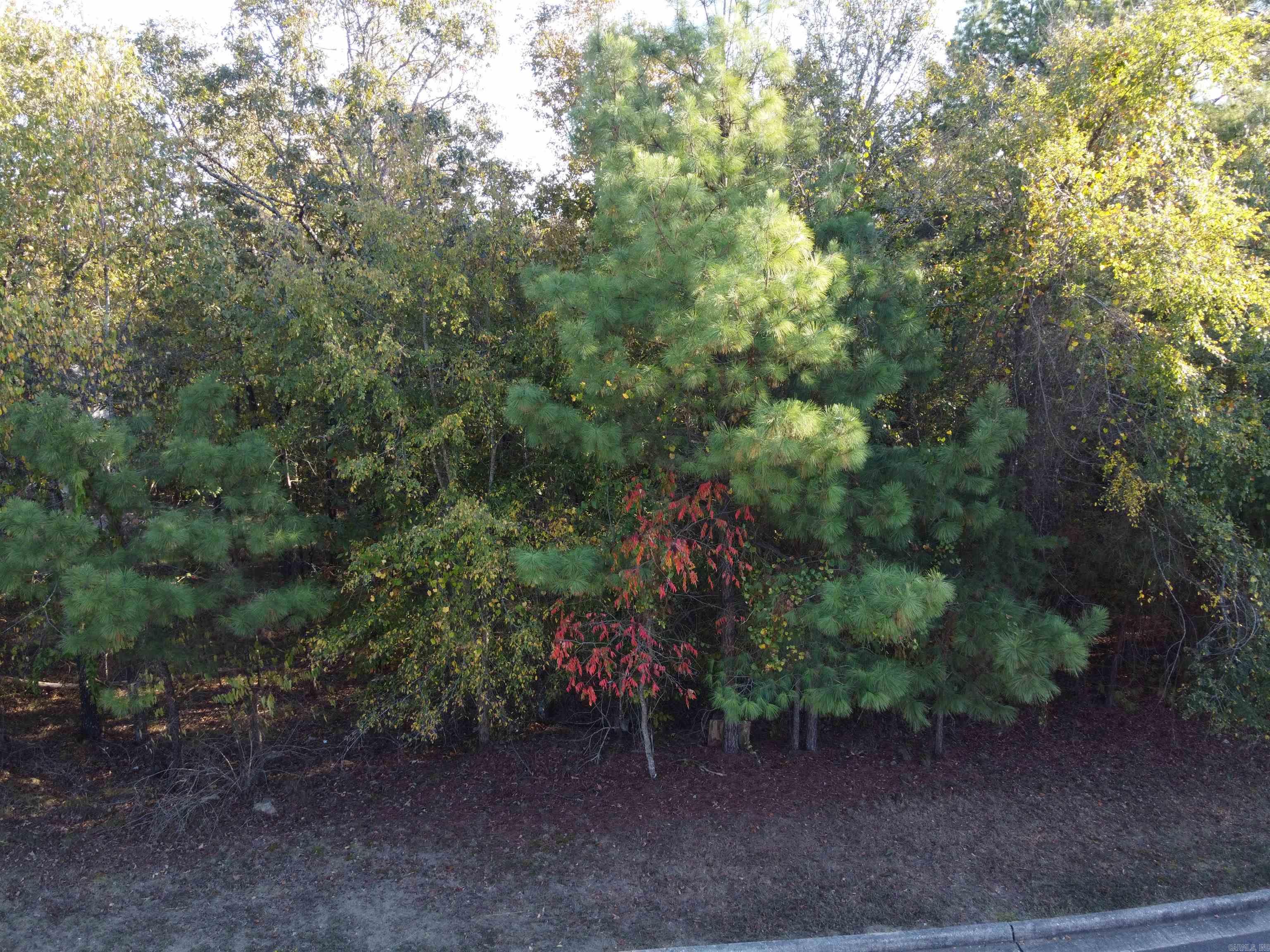 Red Oak Ridge - Land