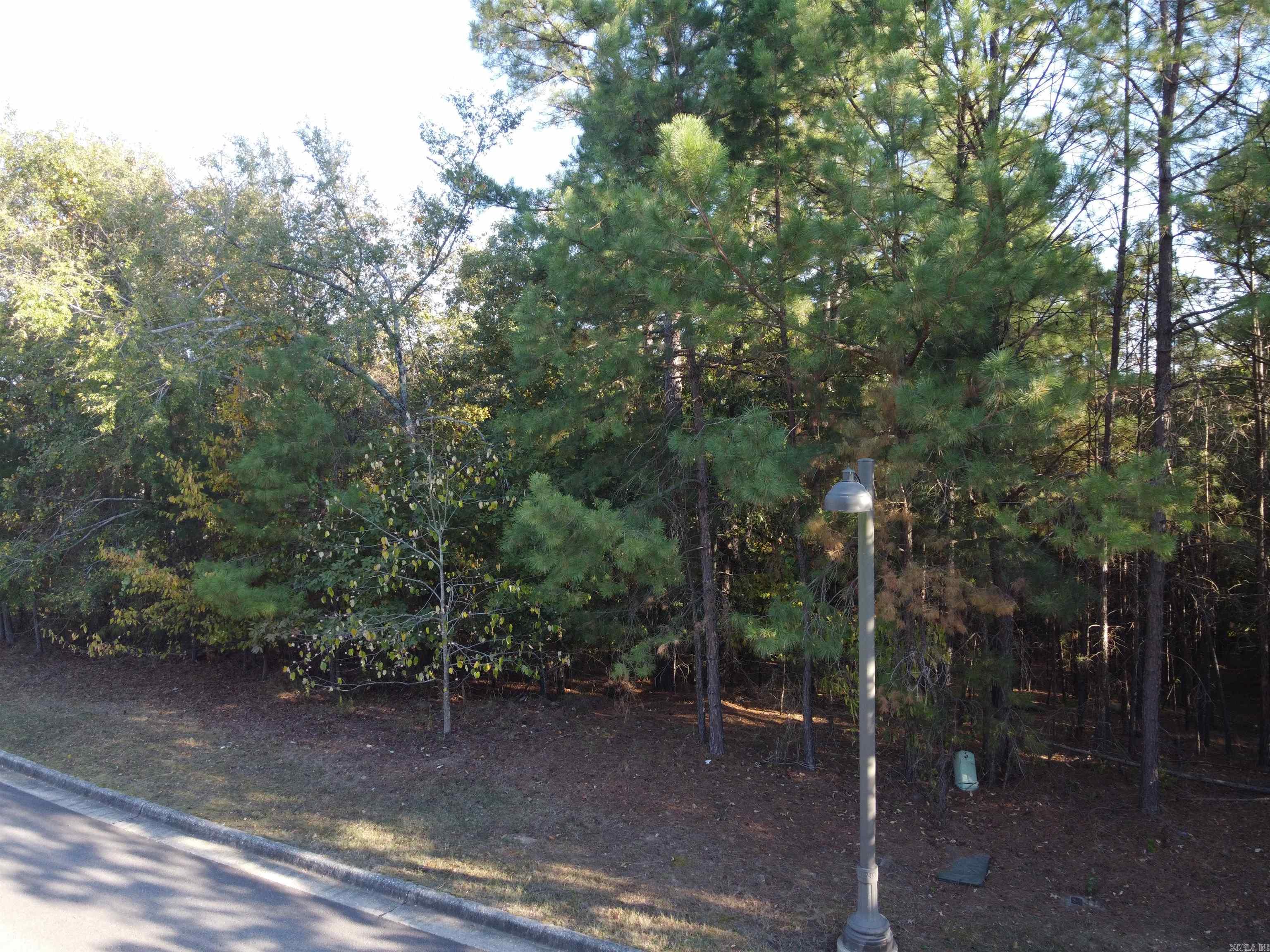 Beautiful lot to build your dream home! Located in one of the most desirable gated neighborhoods in Lakeside School District! Pristine Red Oak Ridge offers lots of amenities including paved walking trails, 2 private lakes perfect for fishing, kayaking or paddle boarding, swimming pool, underground utilities and much more. One of the best lots left in the well-established, family neighborhood. Call for more details or feel free to drive by and take a look.