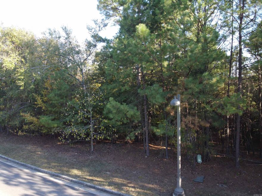 Beautiful lot to build your dream home! Located in one of the most desirable gated neighborhoods in Lakeside School District! Pristine Red Oak Ridge offers lots of amenities including paved walking trails, 2 private lakes perfect for fishing, kayaking or paddle boarding, swimming pool, underground utilities and much more. One of the best lots left in the well-established, family neighborhood. Call for more details or feel free to drive by and take a look.