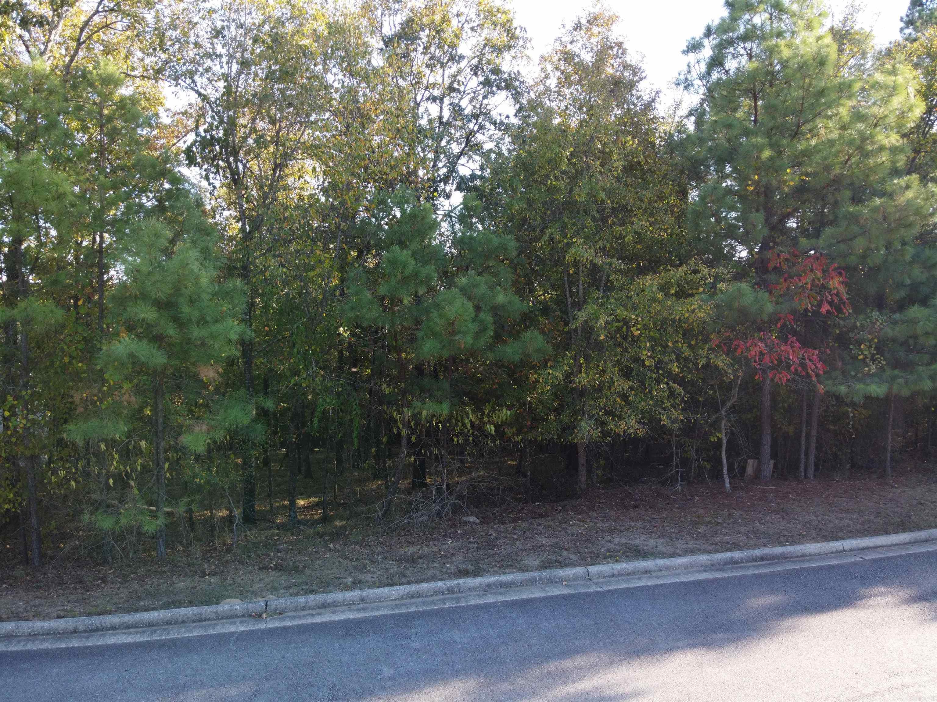 Red Oak Ridge - Land