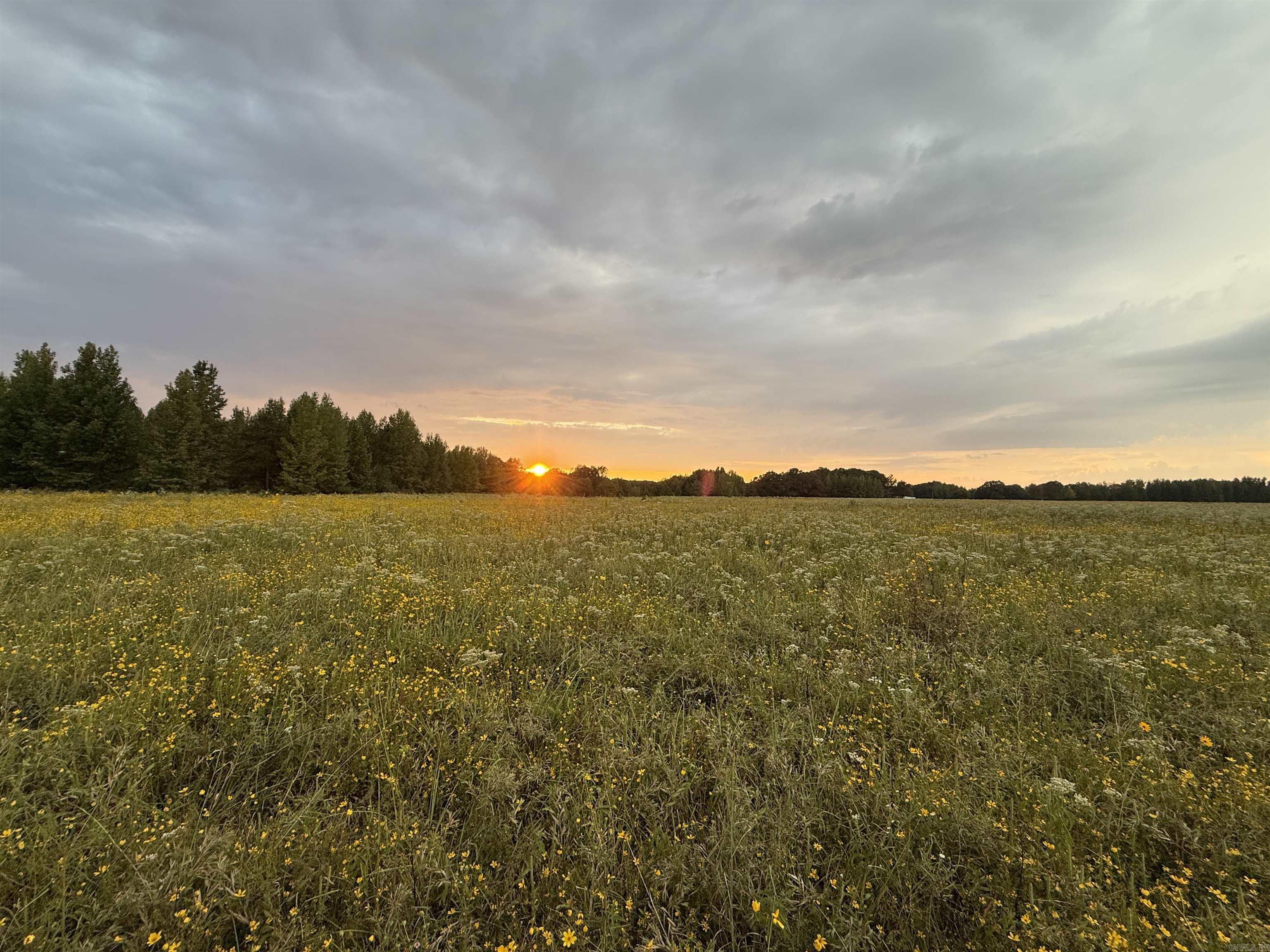 Metes & Bounds - Farm