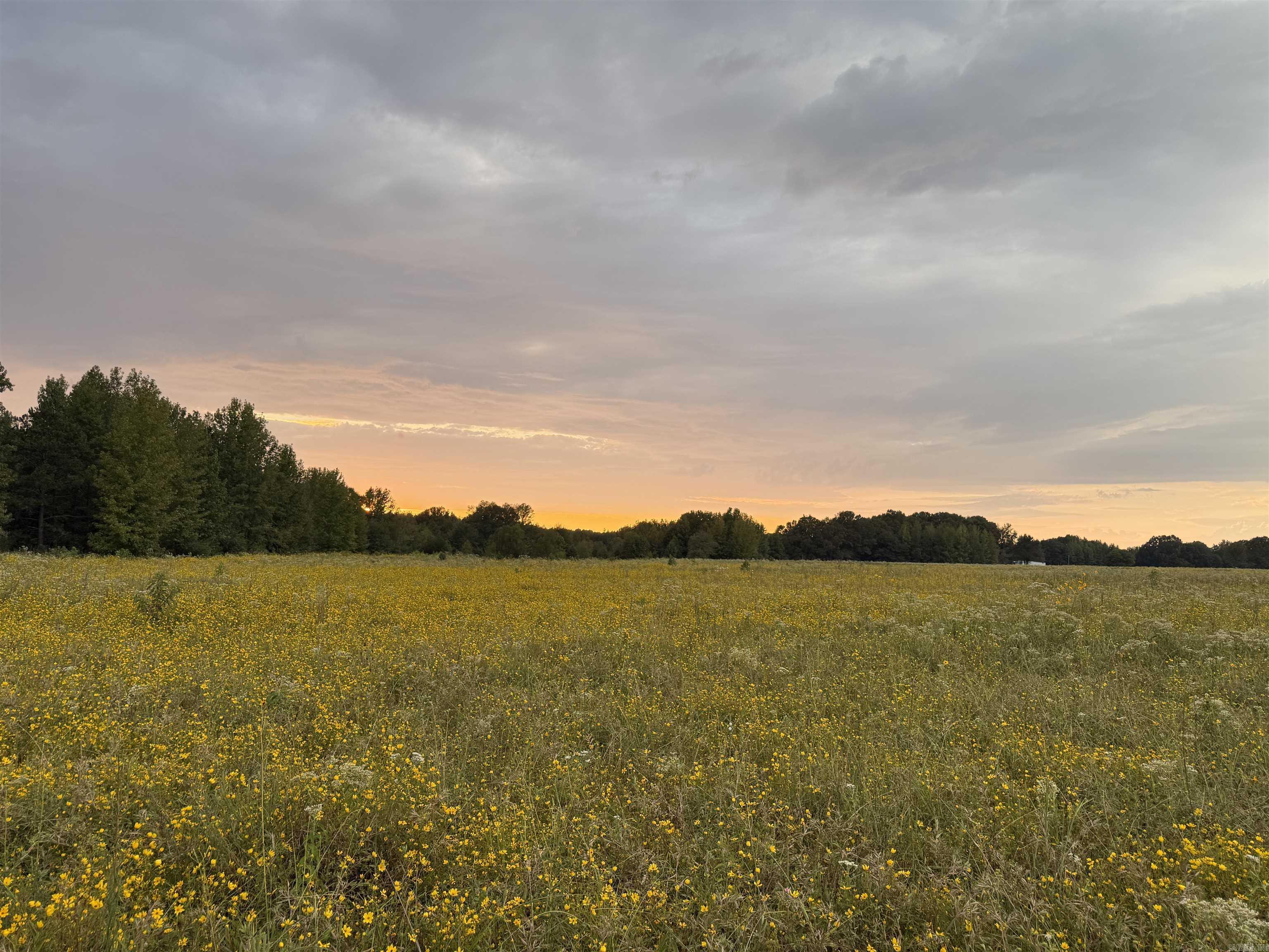 Metes & Bounds - Farm