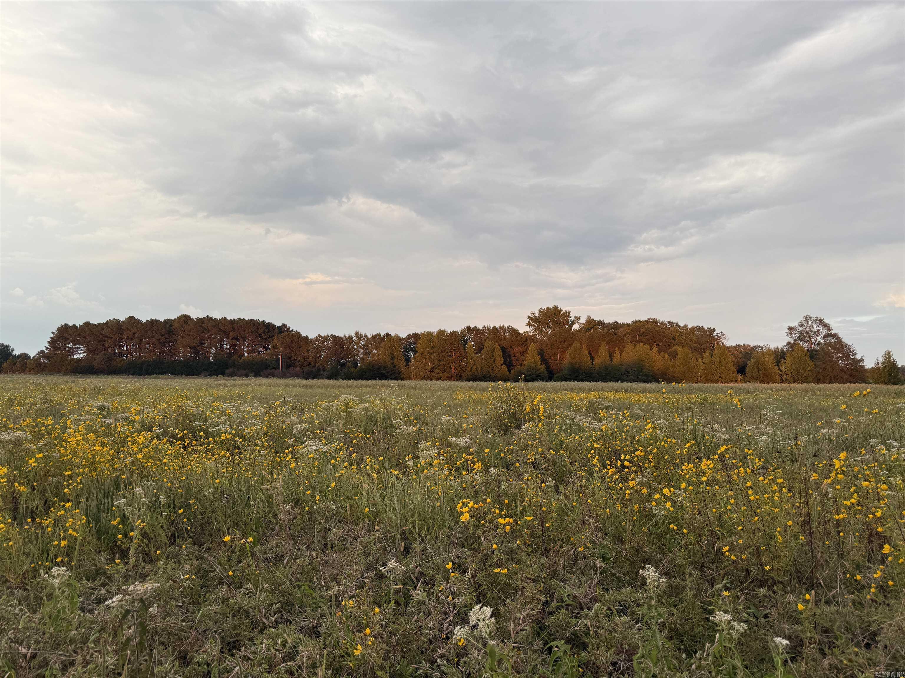 Metes & Bounds - Farm