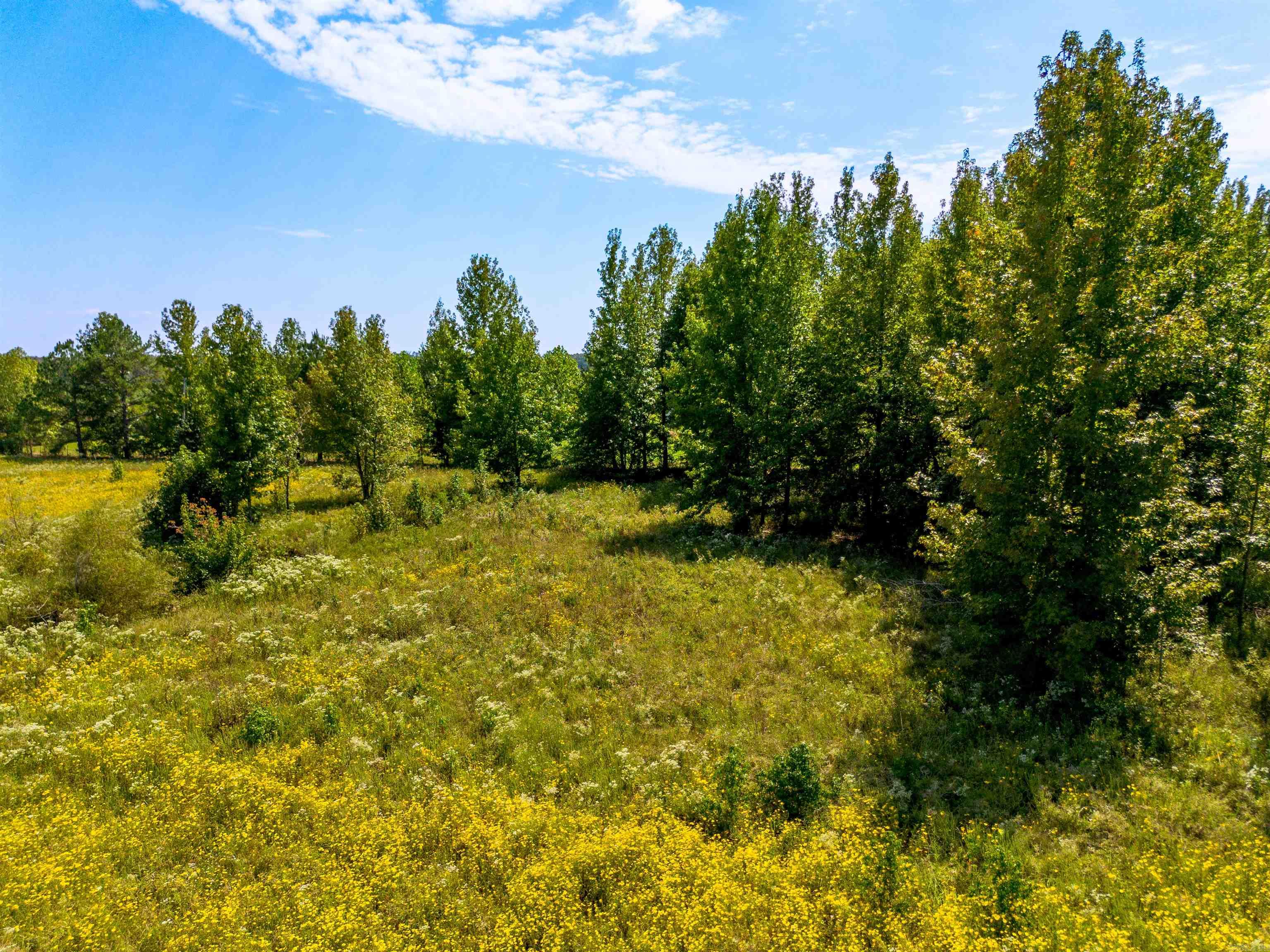 Metes & Bounds - Farm