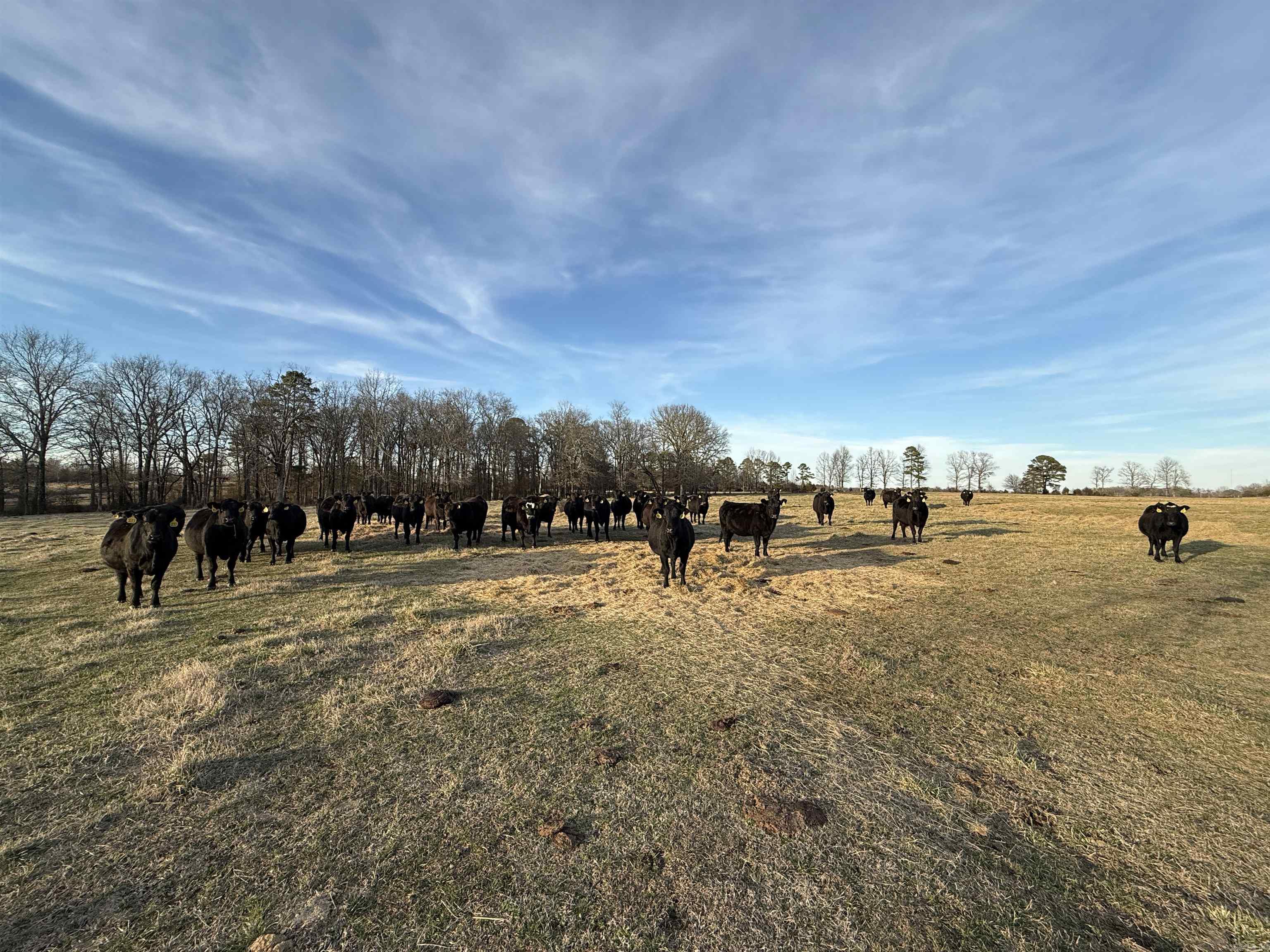 Metes & Bounds - Farm