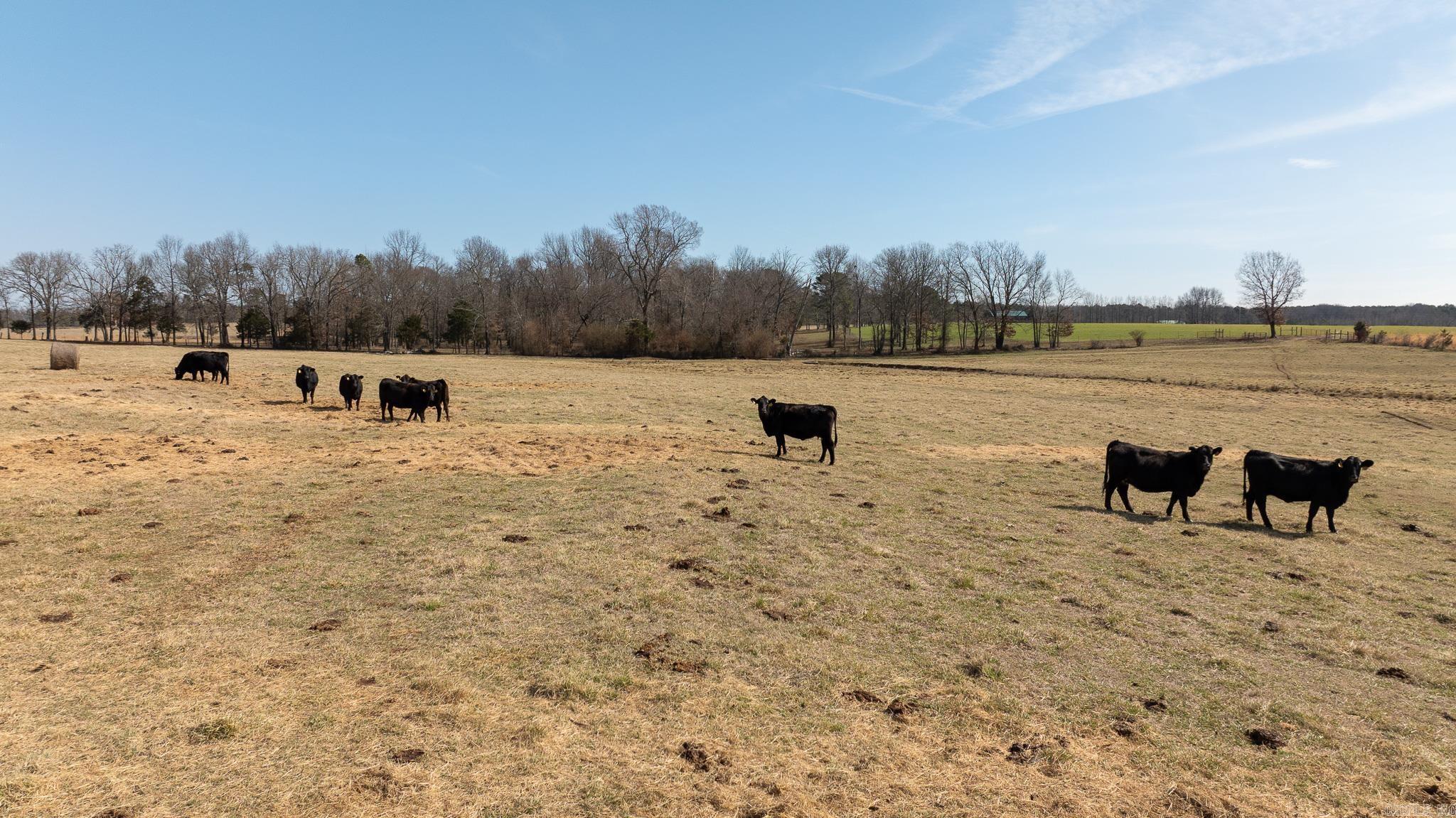 Metes & Bounds - Farm