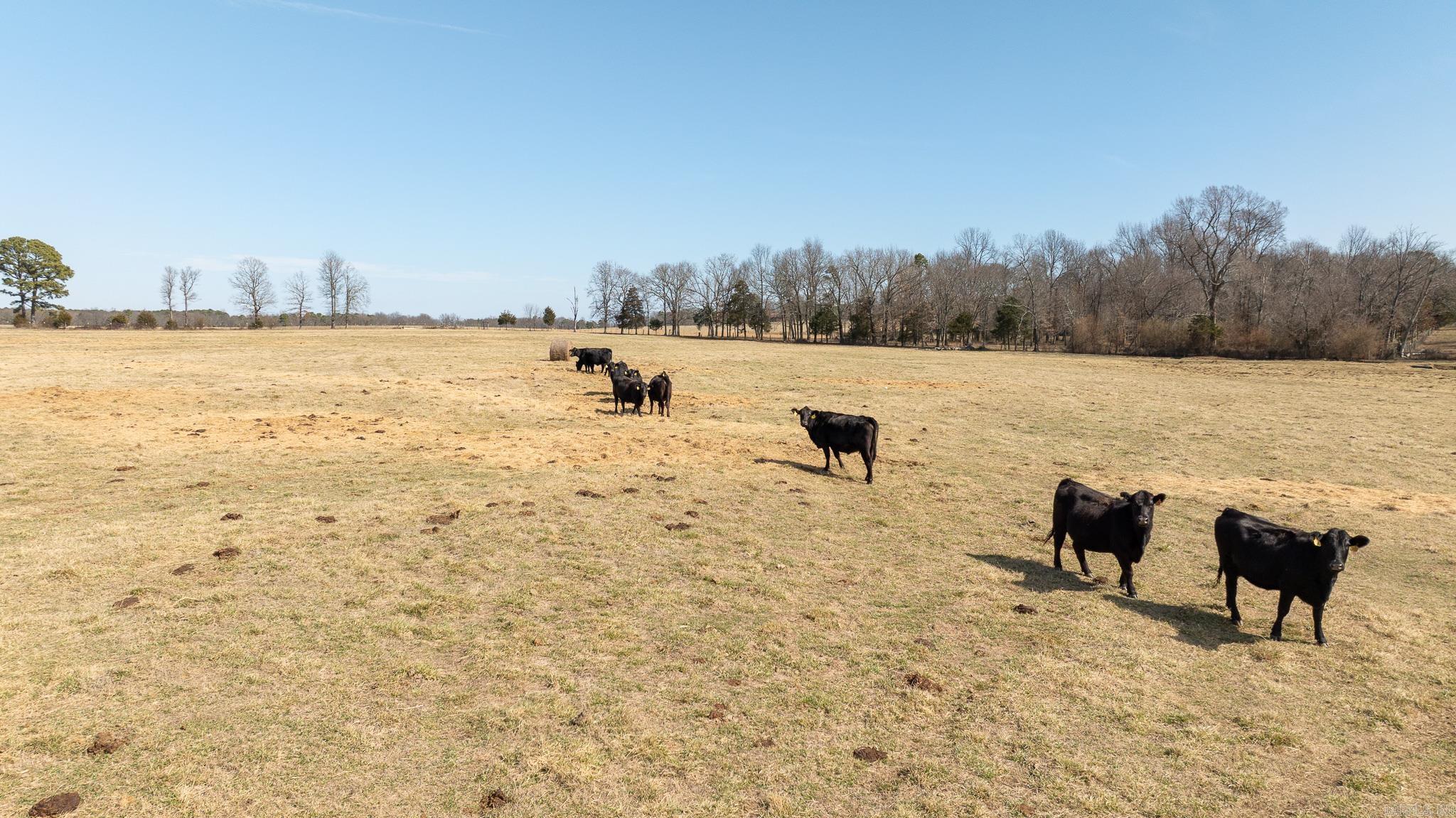 Metes & Bounds - Farm