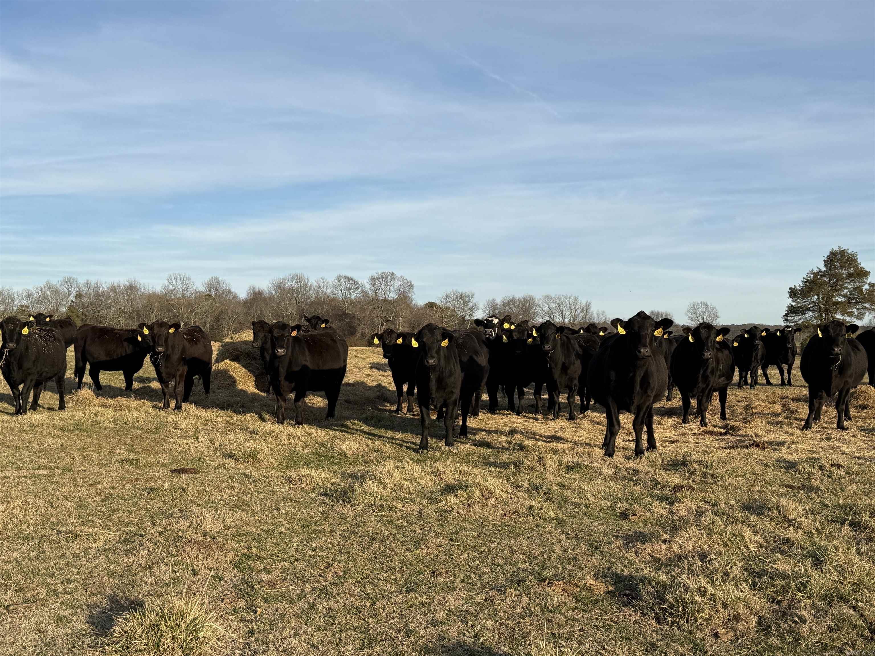 Metes & Bounds - Farm