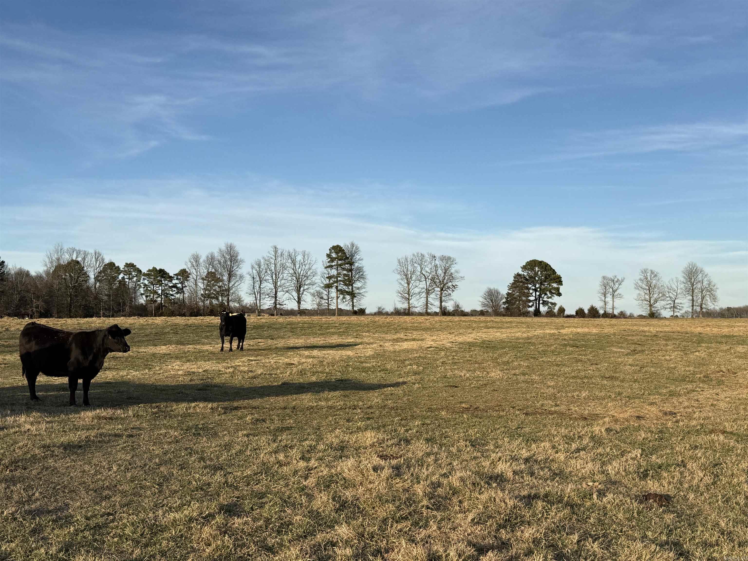 Metes & Bounds - Farm