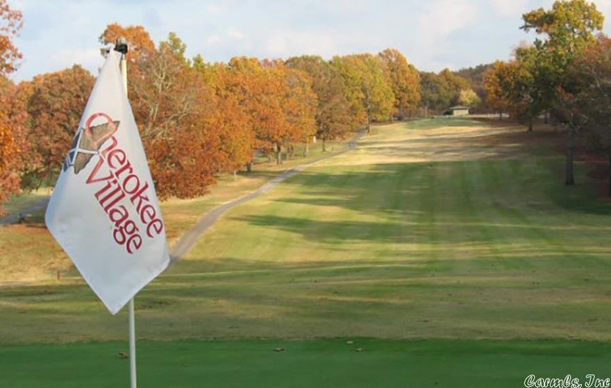 Two adjoining lots with 185 feet of South Golf Course frontage containing almost a half acre.  A beautiful spot to build a home right in the middle to overlook the Fairway of #4.  There is a gentle slope from the street to the course, with mature trees for shade and landscaping.  Plenty of room for a circle driveway, all situated in this quiet neighborhood, cart distance to the South Golf Course Pro Shop.