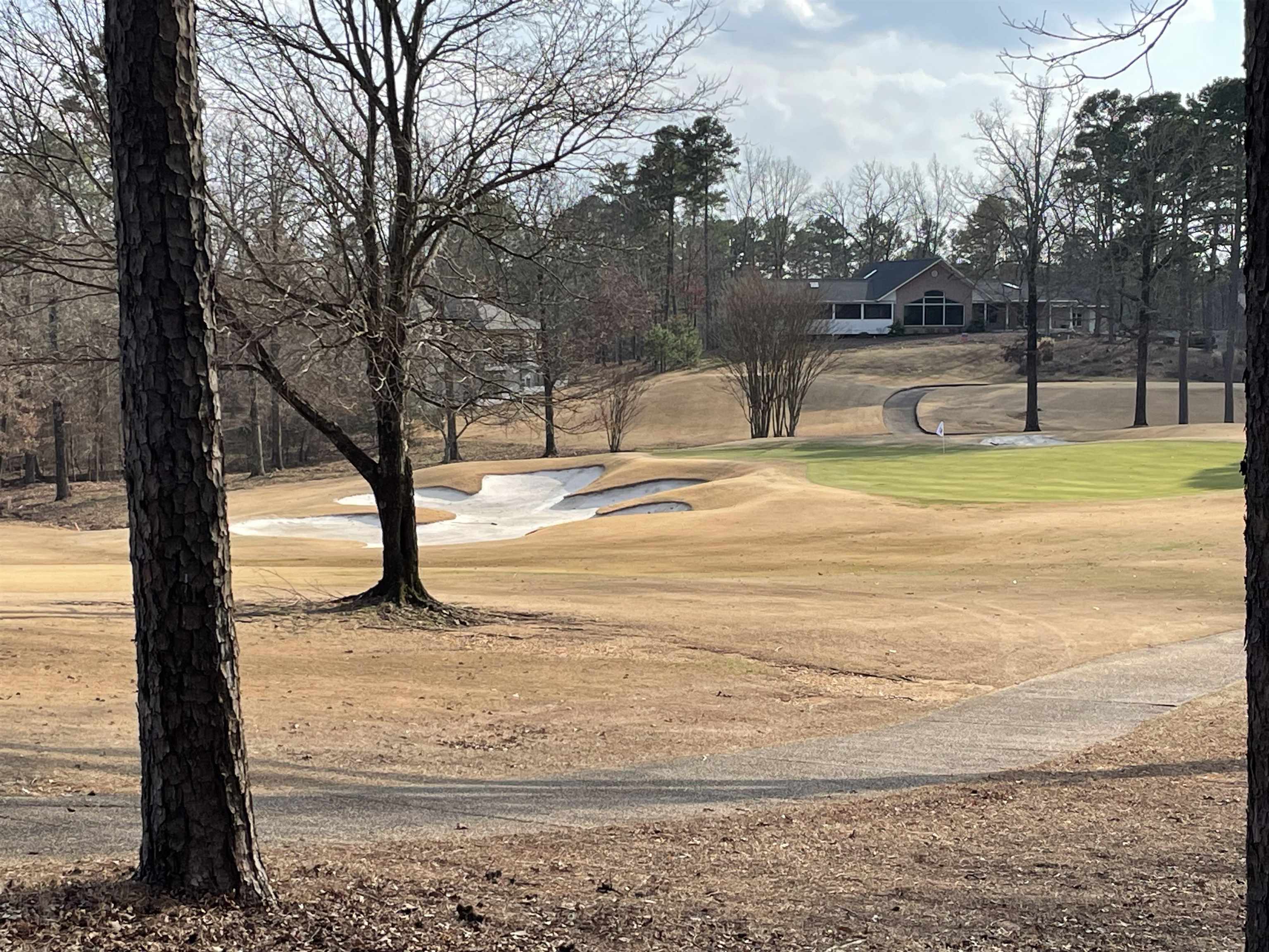 PREMIER approx. 2/3 acre GOLF LOT on the 10th hole of Diamante Golf Course in Hot Springs Village! Beautiful views with common property on both sides! Proximity to the club house is a BONUS! This lot qualifies for a Gold Membership at Diamante and includes golf, fine dining privileges, pickle ball courts, swimming pool, tennis courts, and social activities! Ask for a full explanation of all Diamante information! Just minutes to Lake Balboa Marina and beach! Additional amenities such as walking trails and golf courses are only minutes away, along with shopping, restaurants, medical, farmer's market, entertainment, etc. Call today for more information about this spectacular home site and potential builders for your Diamante dream home!