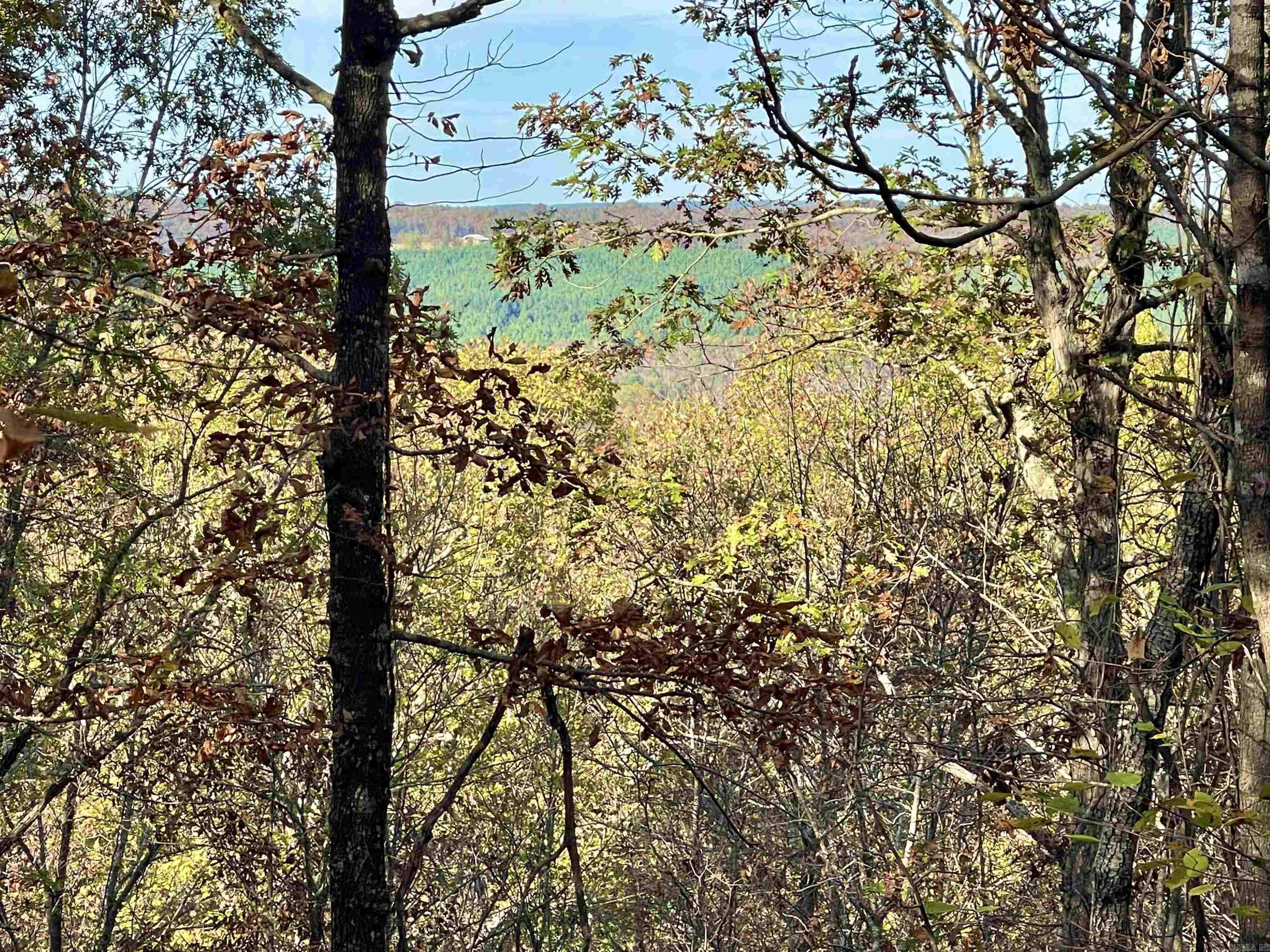 Eagle Ridge - Land