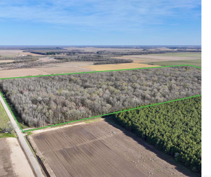 80 quiet acres full of Timber is now available!  Would be perfect for hunters or anyone looking to get away from the big city!  According to the Arkansas Timber Price Report you could be in for a nice payday if you harvested this 80 acres!
