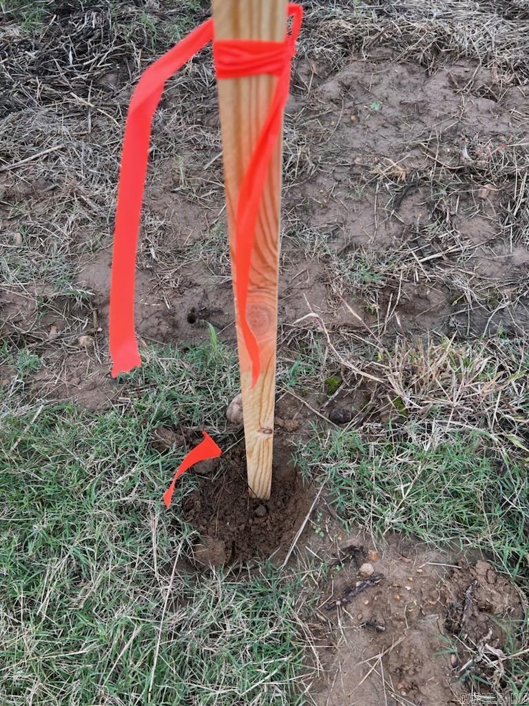 Wynne 21-07-03 - Land