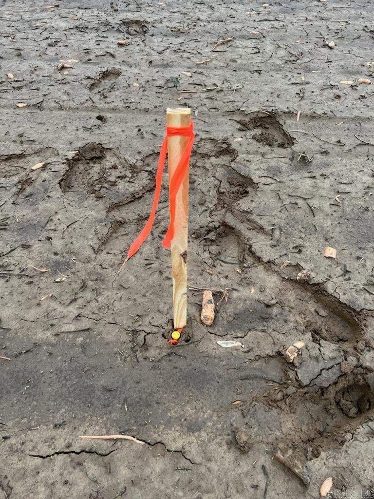 Wynne 21-07-03 - Land