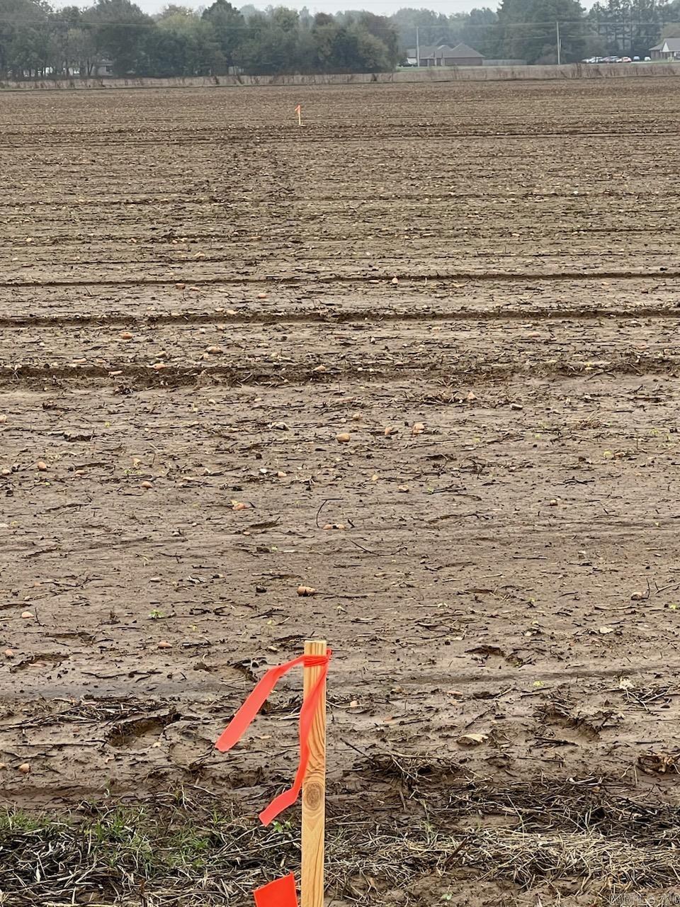 Wynne 21-07-03 - Land