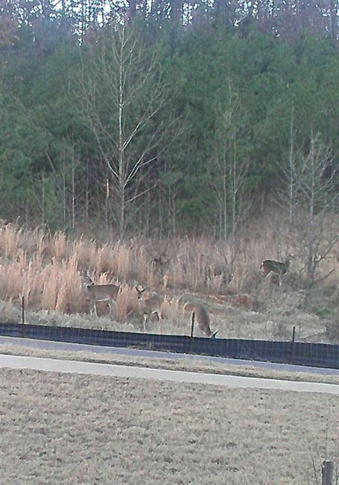 OSAGE FALLS ADDN - Residential