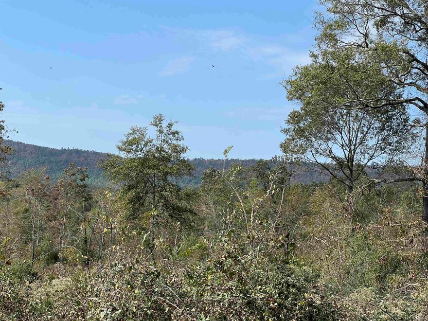 40 acres+/-  Nice Mountain View!  Just waiting to be cleaned up for that new home. Or perfect for investor to split up into tracts. Rural water at the road. Pump Station Road on two sides.