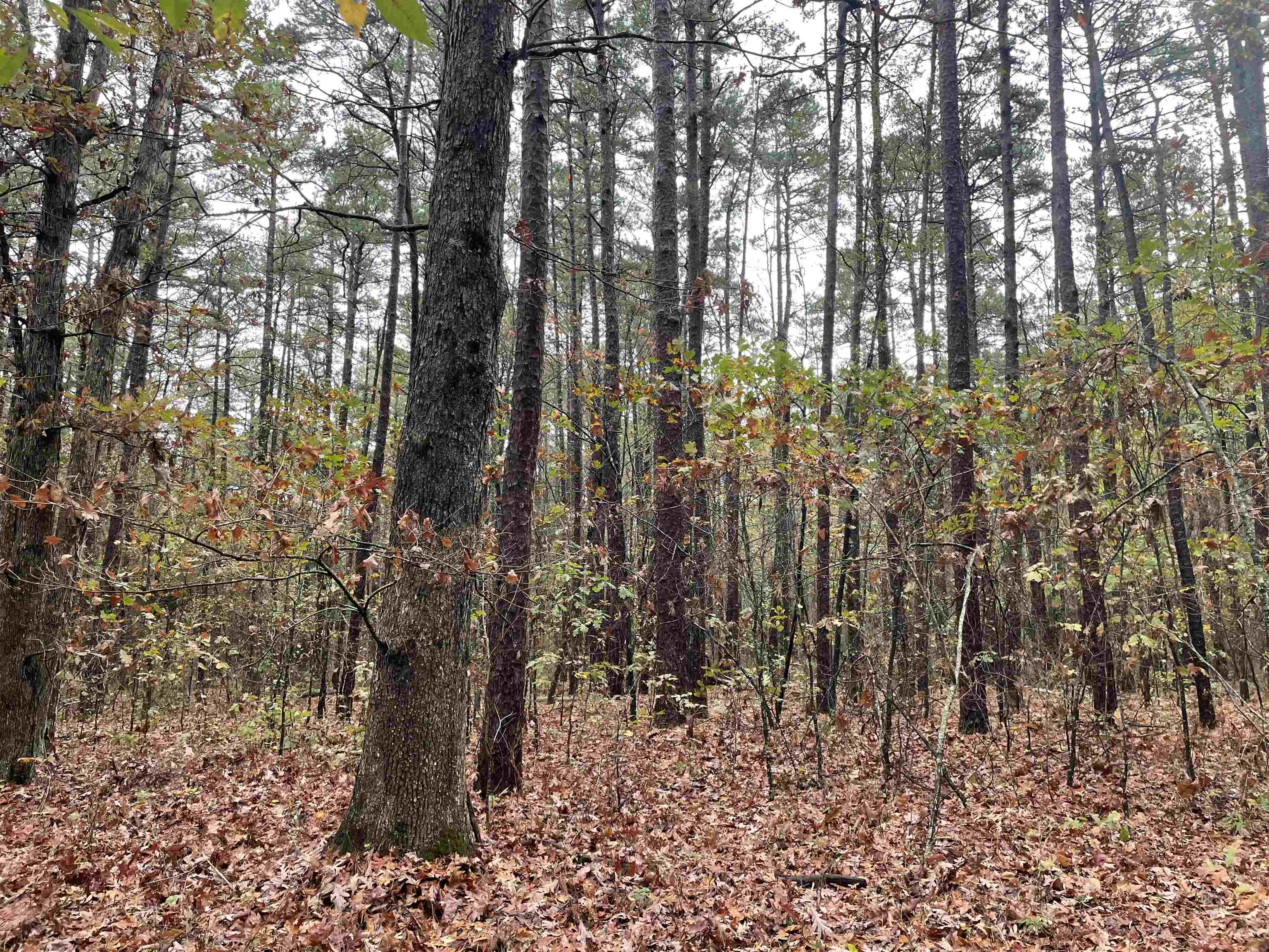 Metes & Bounds - Land