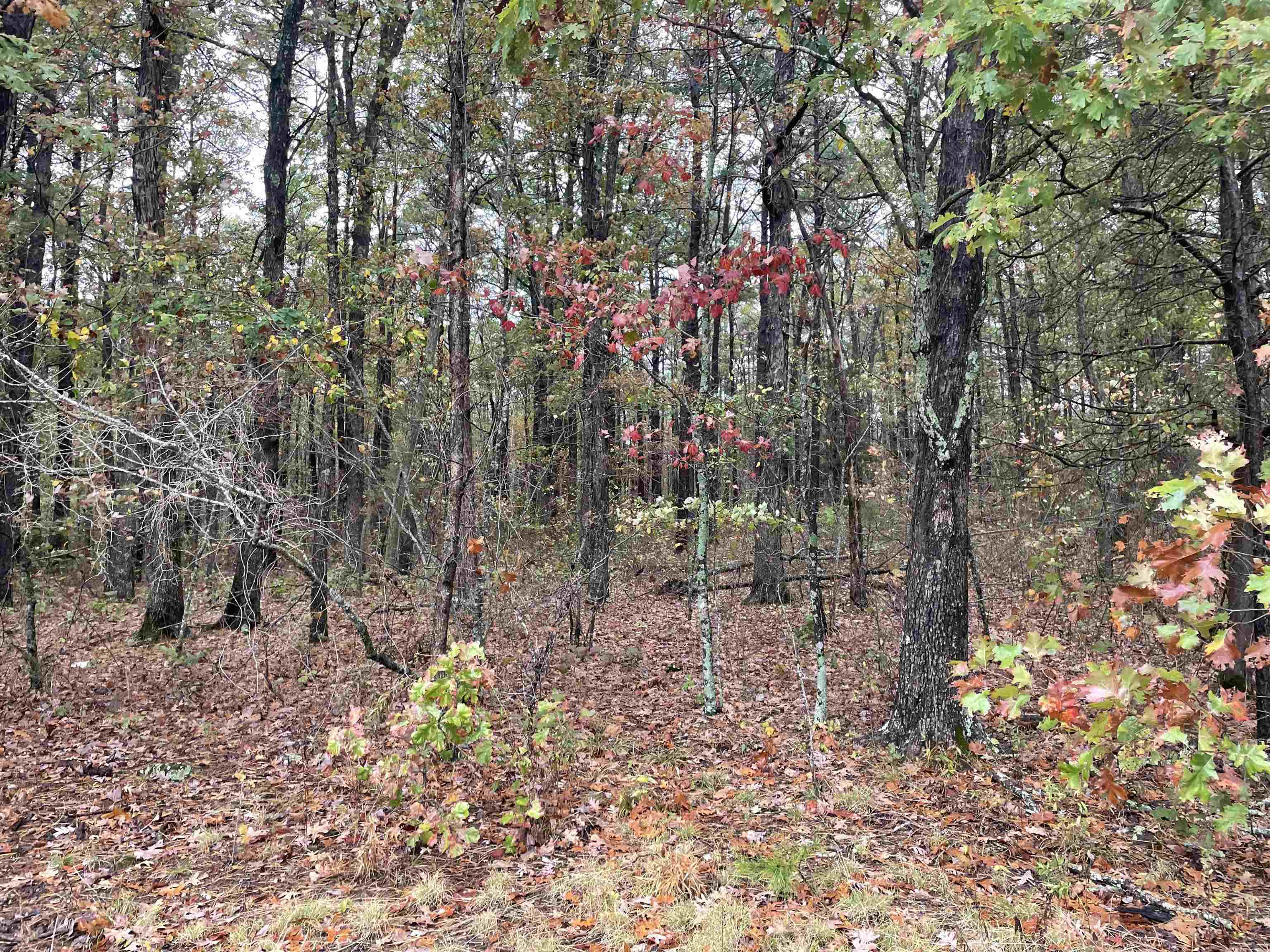 Metes & Bounds - Land