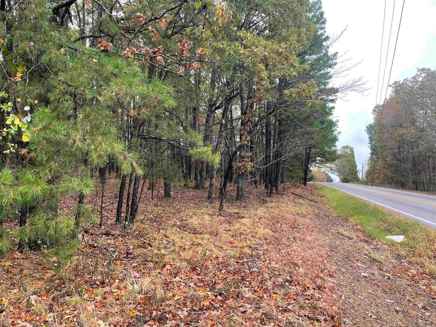 Great piece of land on State Hwy close to Greers Ferry Lake.