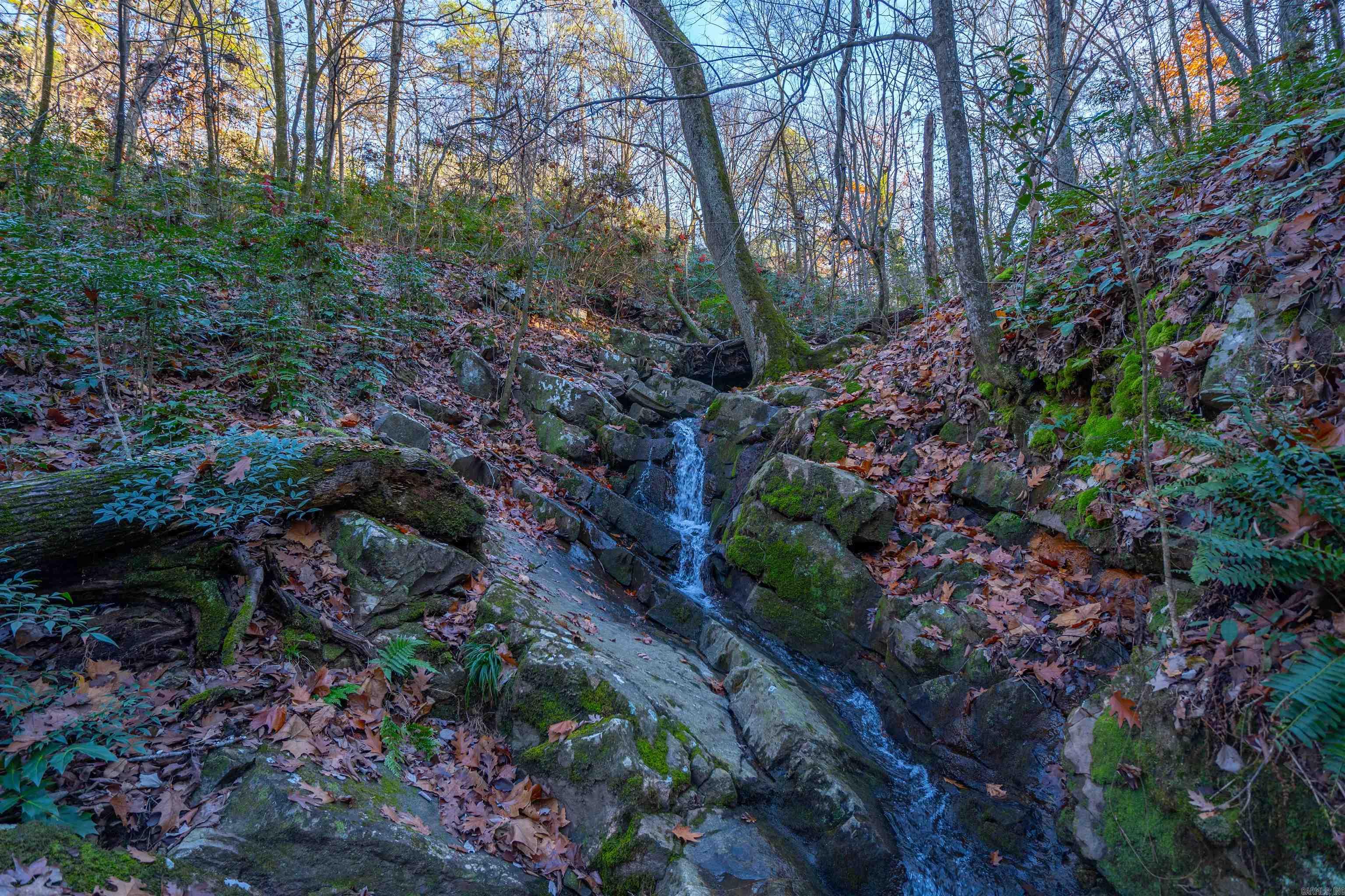 Greathouse Bend - Land