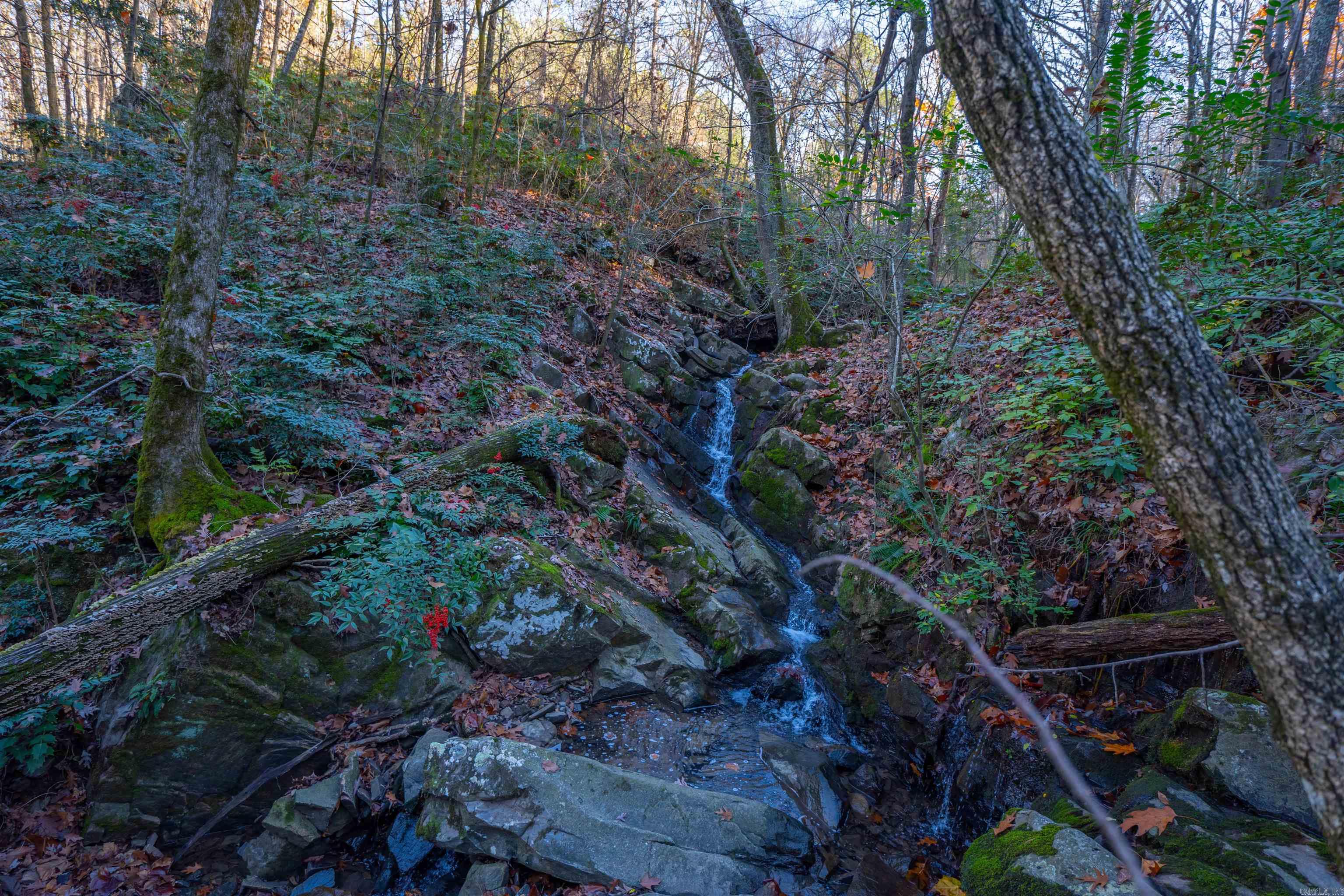 Greathouse Bend - Land