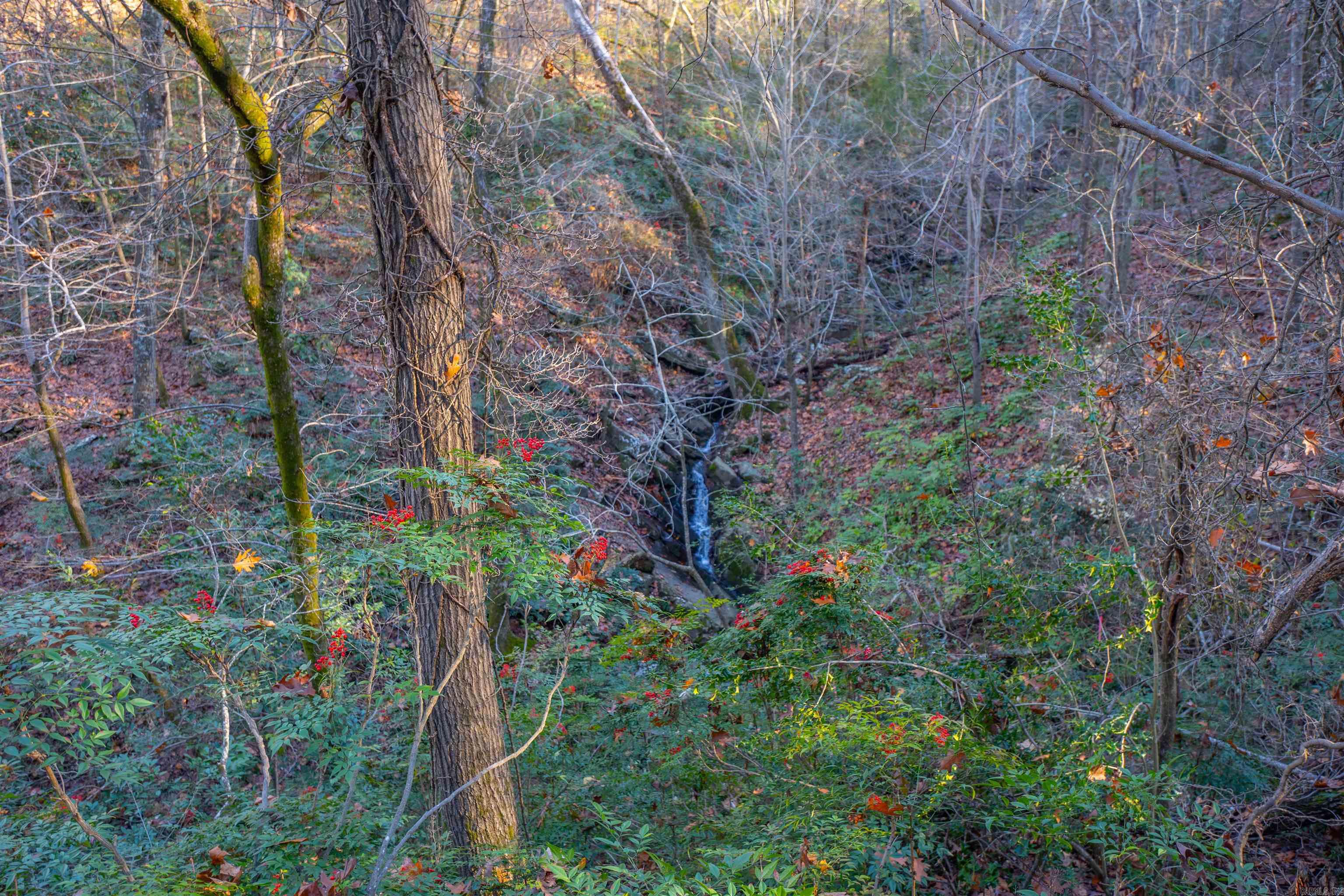 Greathouse Bend - Land