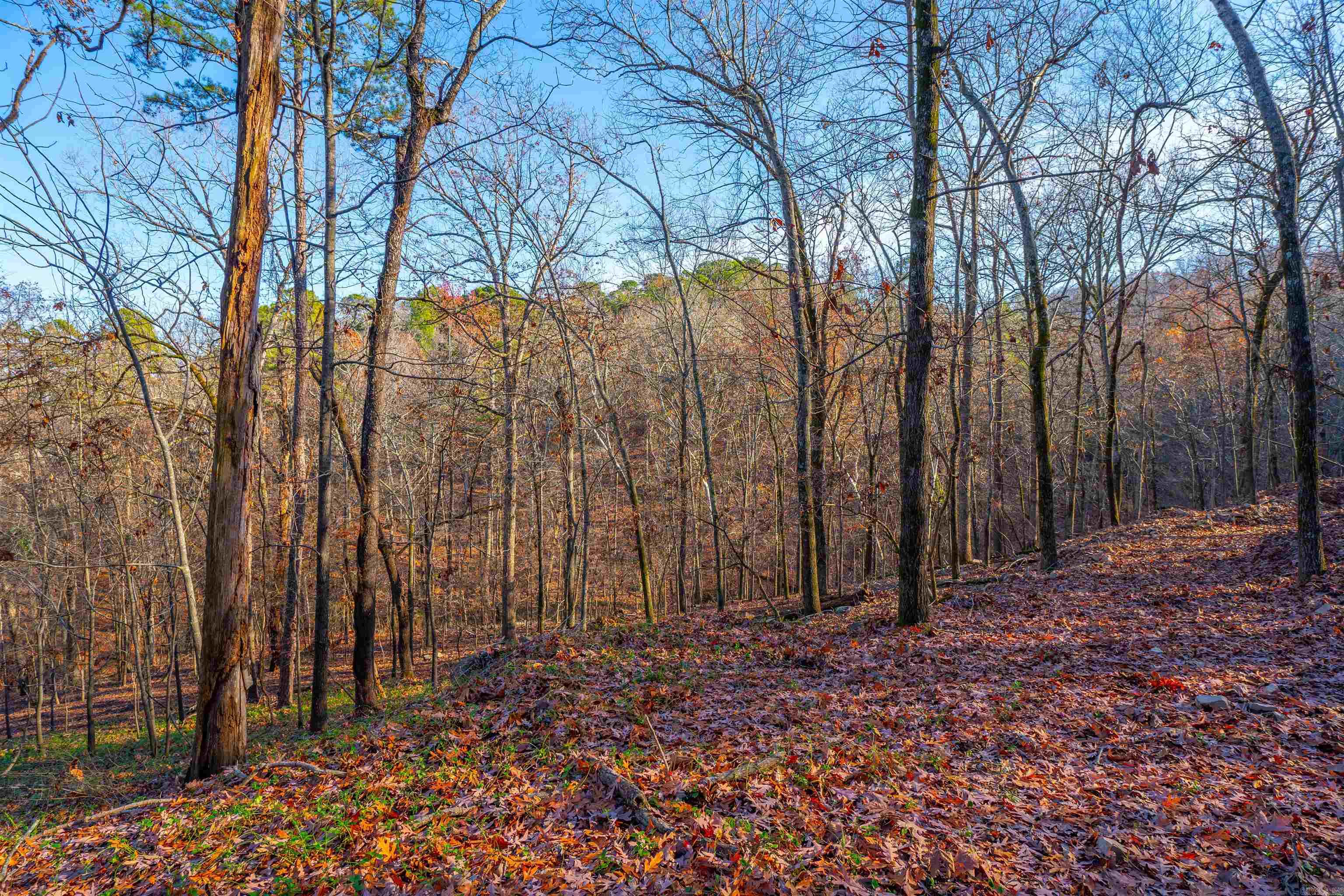 Greathouse Bend - Land