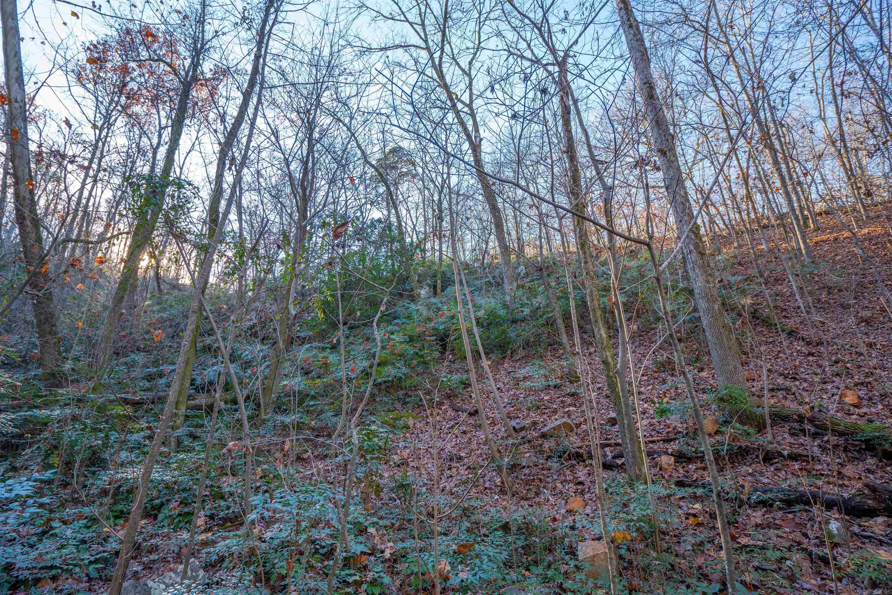Greathouse Bend - Land