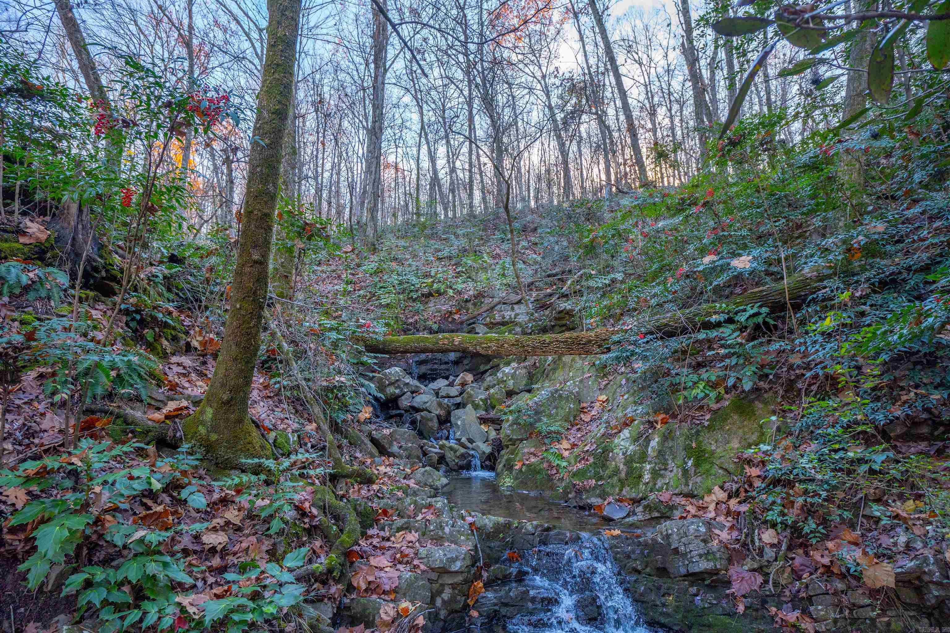 Greathouse Bend - Land