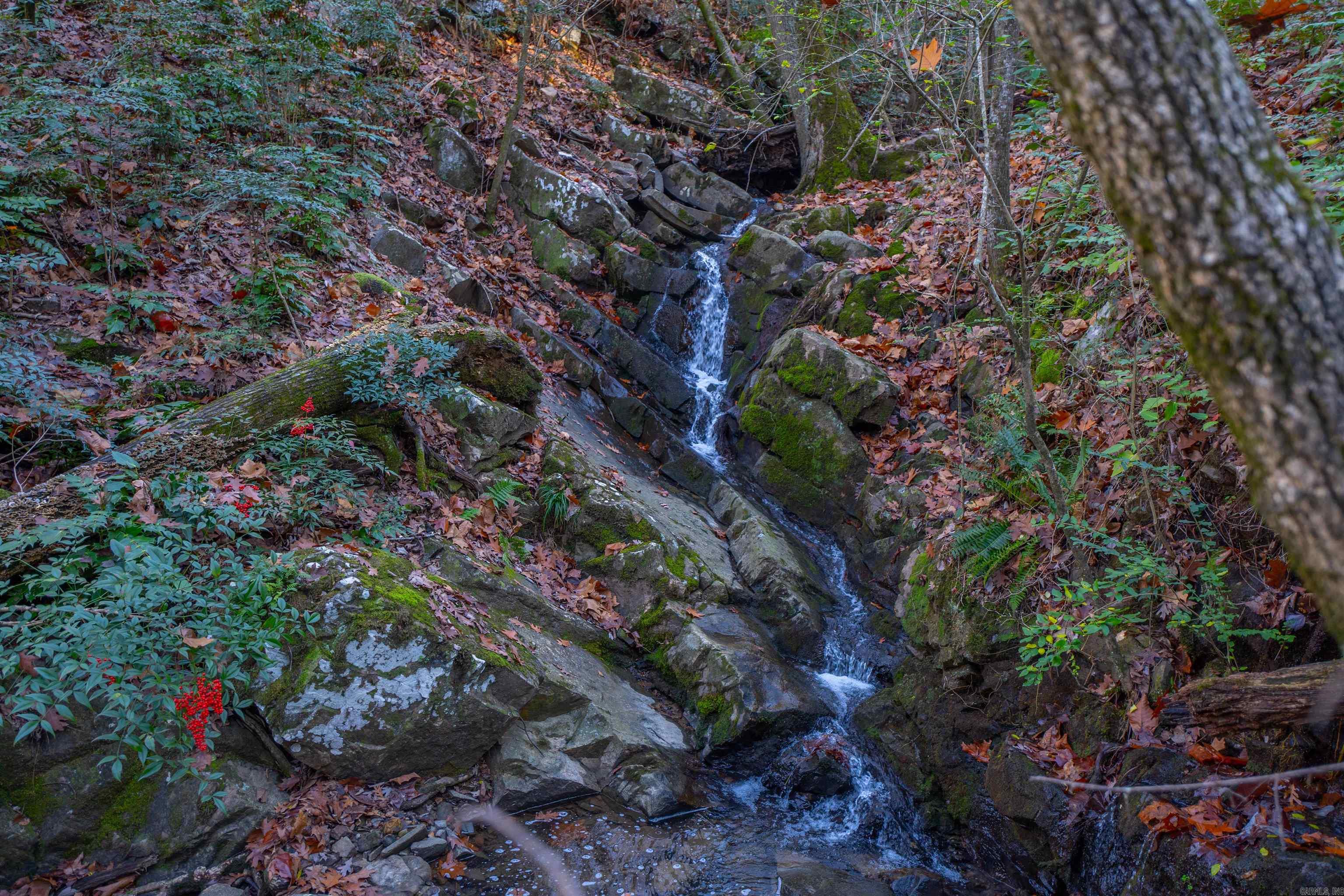 Greathouse Bend - Land