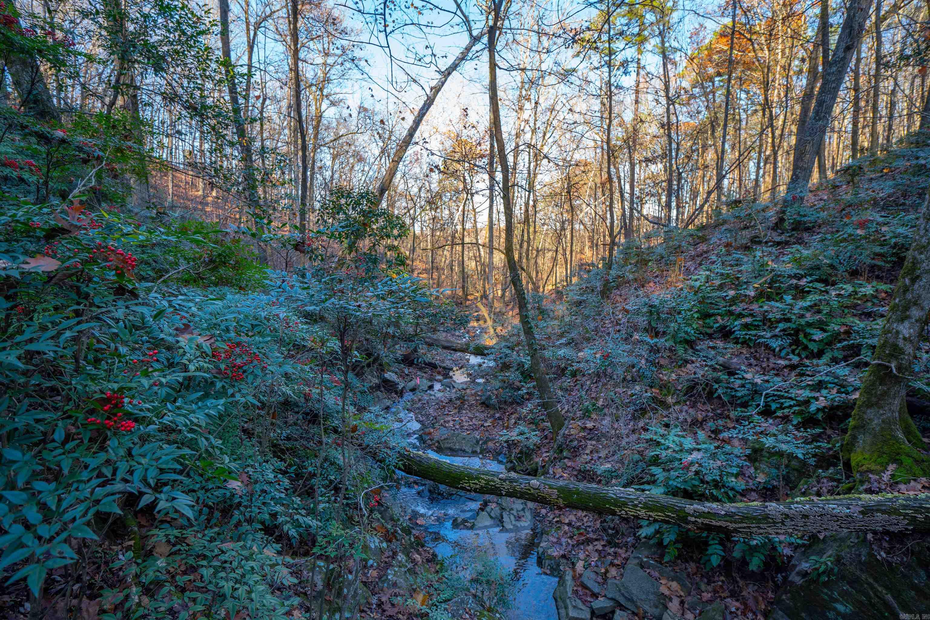 Greathouse Bend - Land