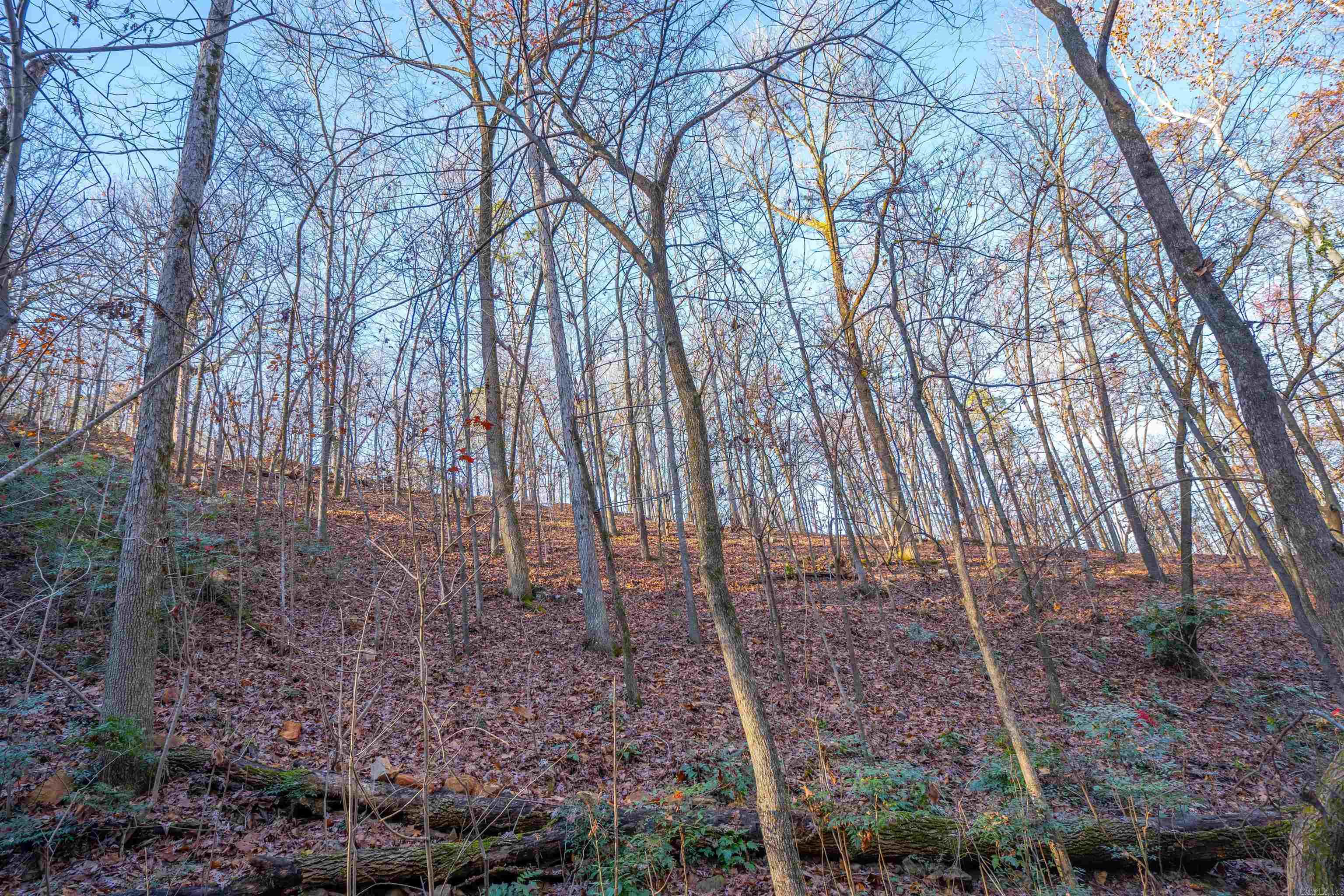 Greathouse Bend - Land