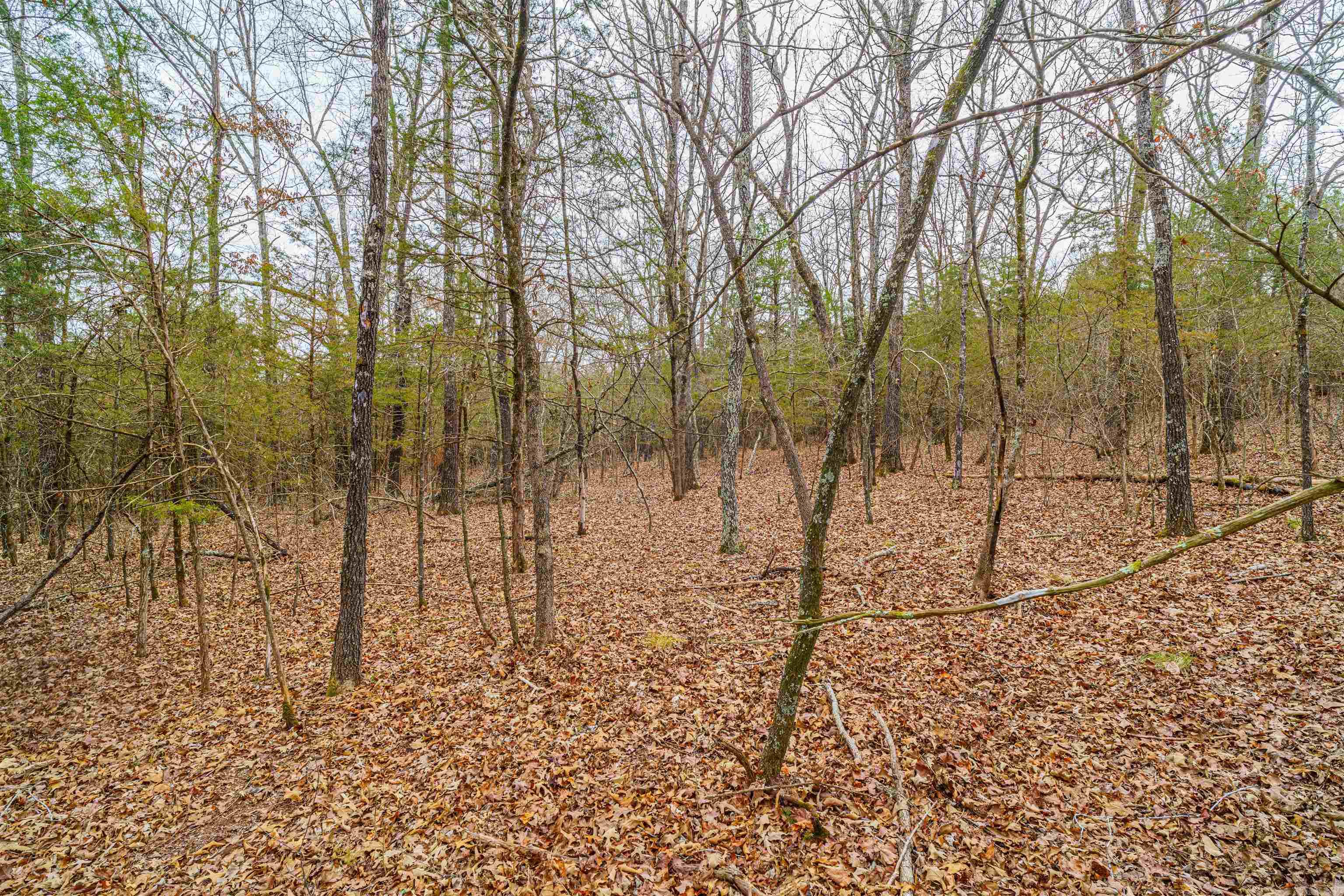 Metes & Bounds - Land