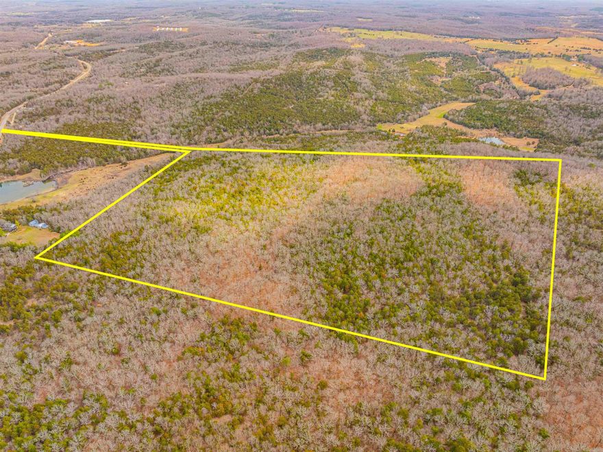 Excellent piece of HUNTING property sitting just off Highway 56, just outside of Evening Shade, Arkansas, in Sharp County.  This 78 +/- Acres piece of wooded property is excellent for hunters or even those who want a piece they can buy, then build that forever home on, have a garden, run some cows, and still have room to hunt!  Yes, you would have to clear out some trees to run a few cattle, but this property is a nice property in a great location.  The sellers will be putting a restriction on it stating no poultry, turkey houses, bitcoin farming or commercial hog houses to be built on the property, as they will still live right next to the property.  This property is so close to the Strawberry River and several creeks that are just a short ATV ride!  Sellers will give you a piece of property about 60 ft wide that will go back to this property so you can build your road, put up a gate if you wish, and do what you want.  A charming piece in the Ozarks!  Loaded with whitetail deer and turkey, along with the occasional bear!