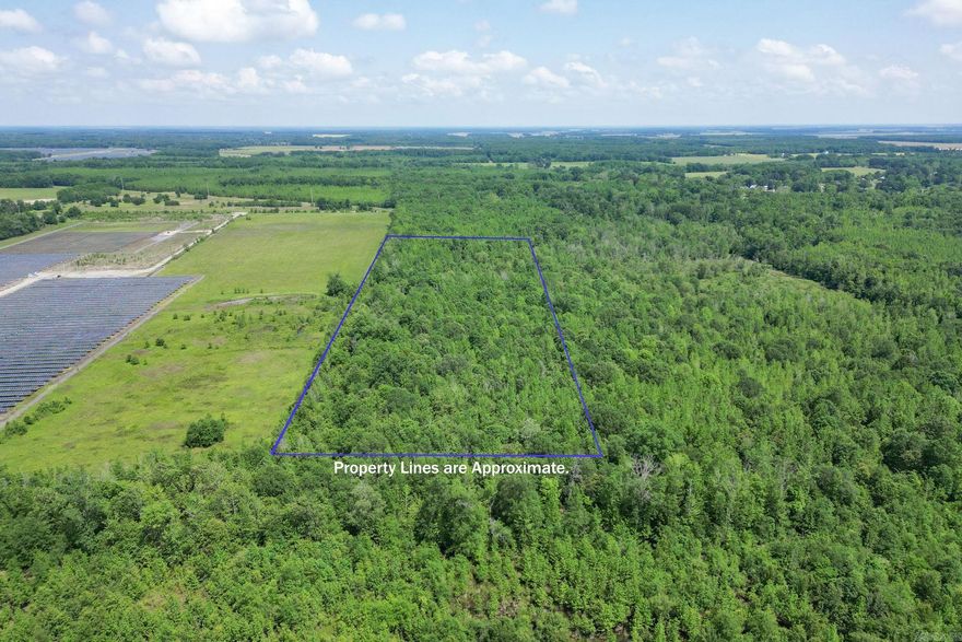 Beautiful 23.43 Acres of Unimproved Land just outside of Searcy! Tucked back and secluded, this property is all Timber and Unimproved! Outside City Limits and could make a Beautiful Building and Hunting Site! There is an Easment off of Bailey Street to the land but no access road. Agents SEE REMARKS for Access info and Other Important Information.