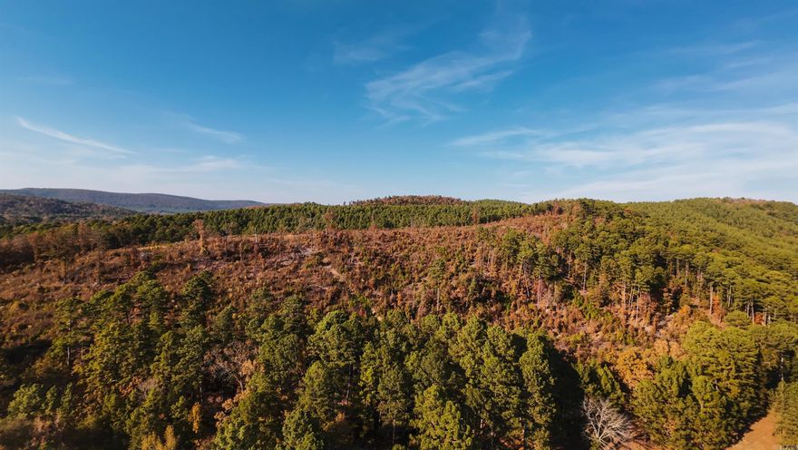 Discover 26 acres of pure Arkansas beauty just minutes from Hot Springs! This extraordinary property is more than land—it’s a canvas for your dream lifestyle. Perched perfectly for breathtaking 360° views, you’ll wake up to sweeping panoramas of Hot Springs, Lake Hamilton, and even Lake Ouachita. A spacious cleared area is ready for your custom home, while the surrounding landscape invites endless possibilities—private hiking trails, a guest cabin, a garden oasis, or simply wide-open space to soak in the peace and privacy. Imagine evenings under star-filled skies, mornings with wildlife at your doorstep, and weekends exploring your very own slice of the Ouachita Mountains. Close to town yet a world apart, this rare offering is perfect for a personal retreat or an investment with unlimited potential. Properties like this don’t come along often—claim your sanctuary with unmatched views and boundless opportunity today!