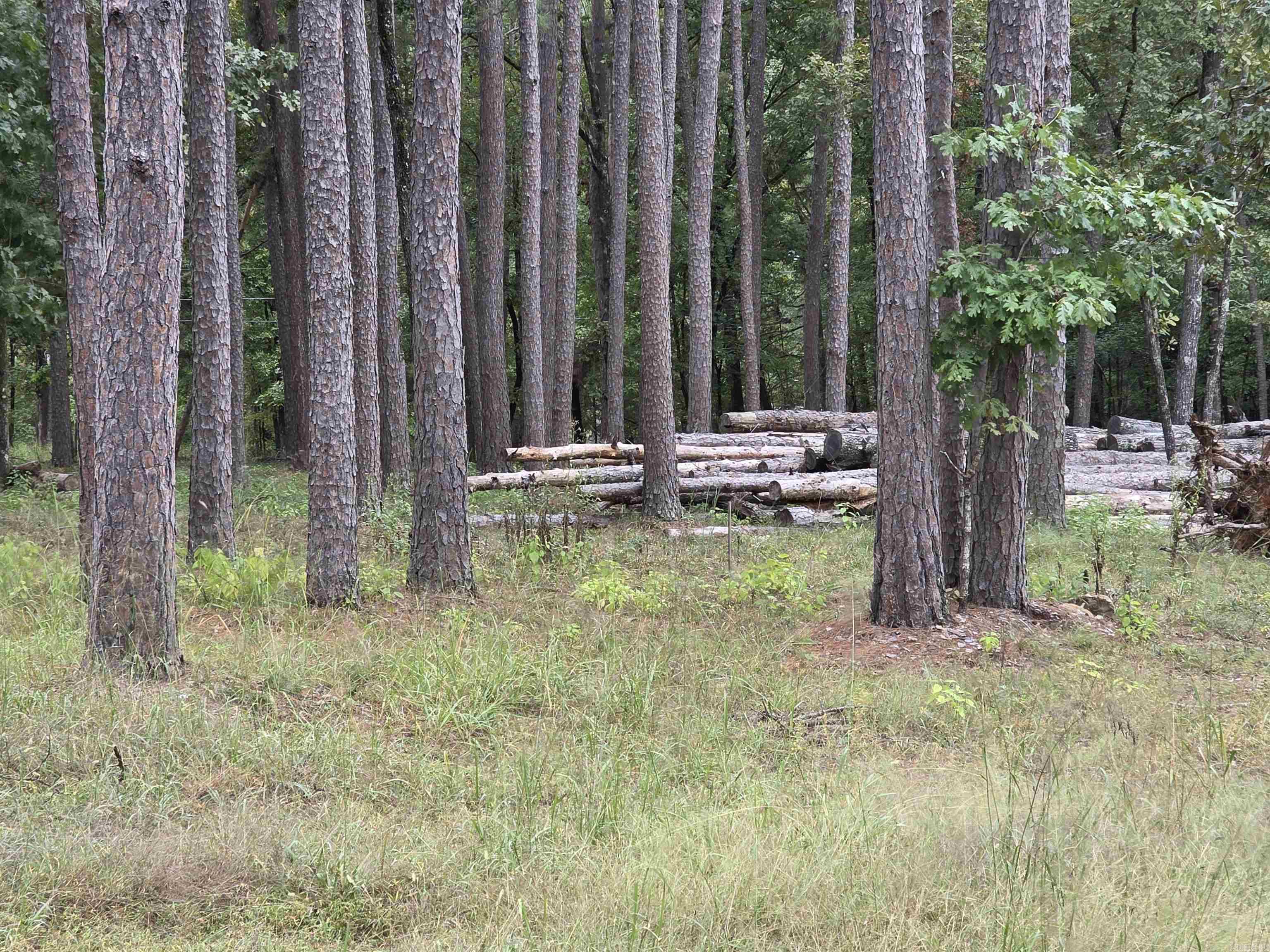 Driftwood Shores Estates - Land