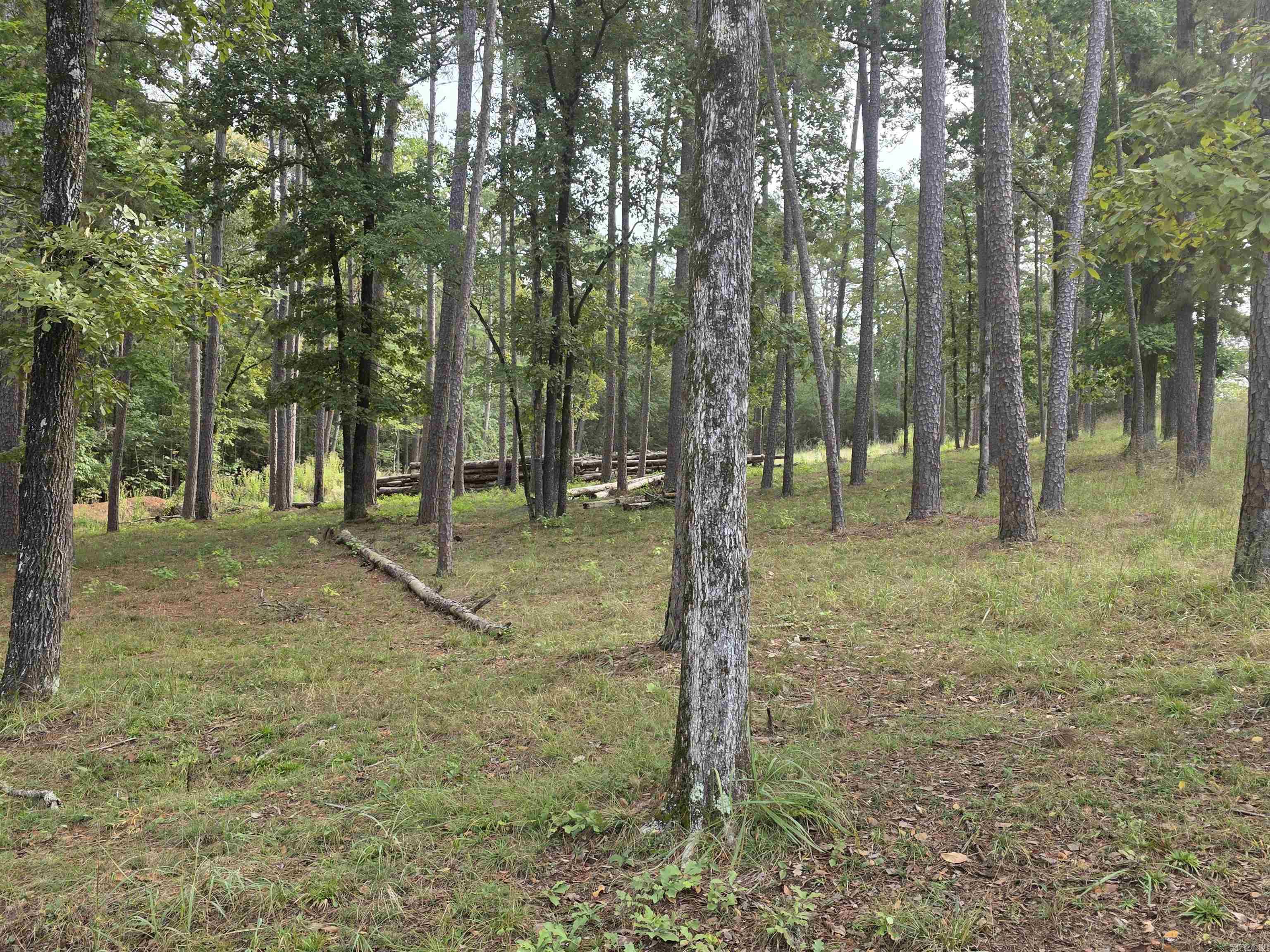 Driftwood Shores Estates - Land