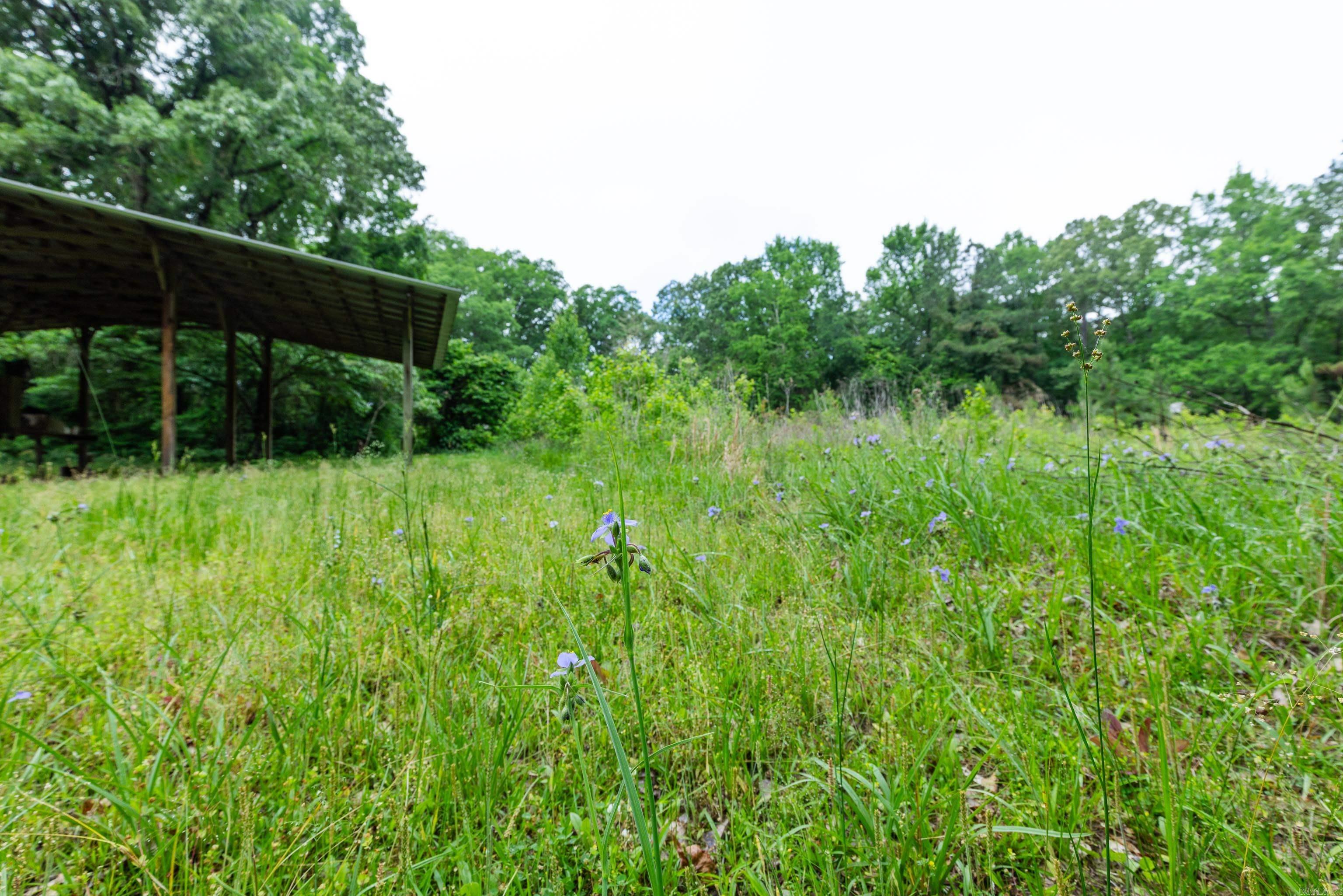 16-5S-10W - Commercial Sale