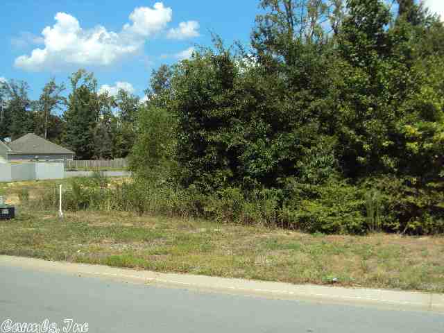 Cute and convenient! Cottage style home subdivision close to Benton schools and convenient to Alcoa Exchange and freeway. Minimum sq footage is 1,250. Most lots are completely level, easy to build. Hurry, 1st phase has only 15 lots available.